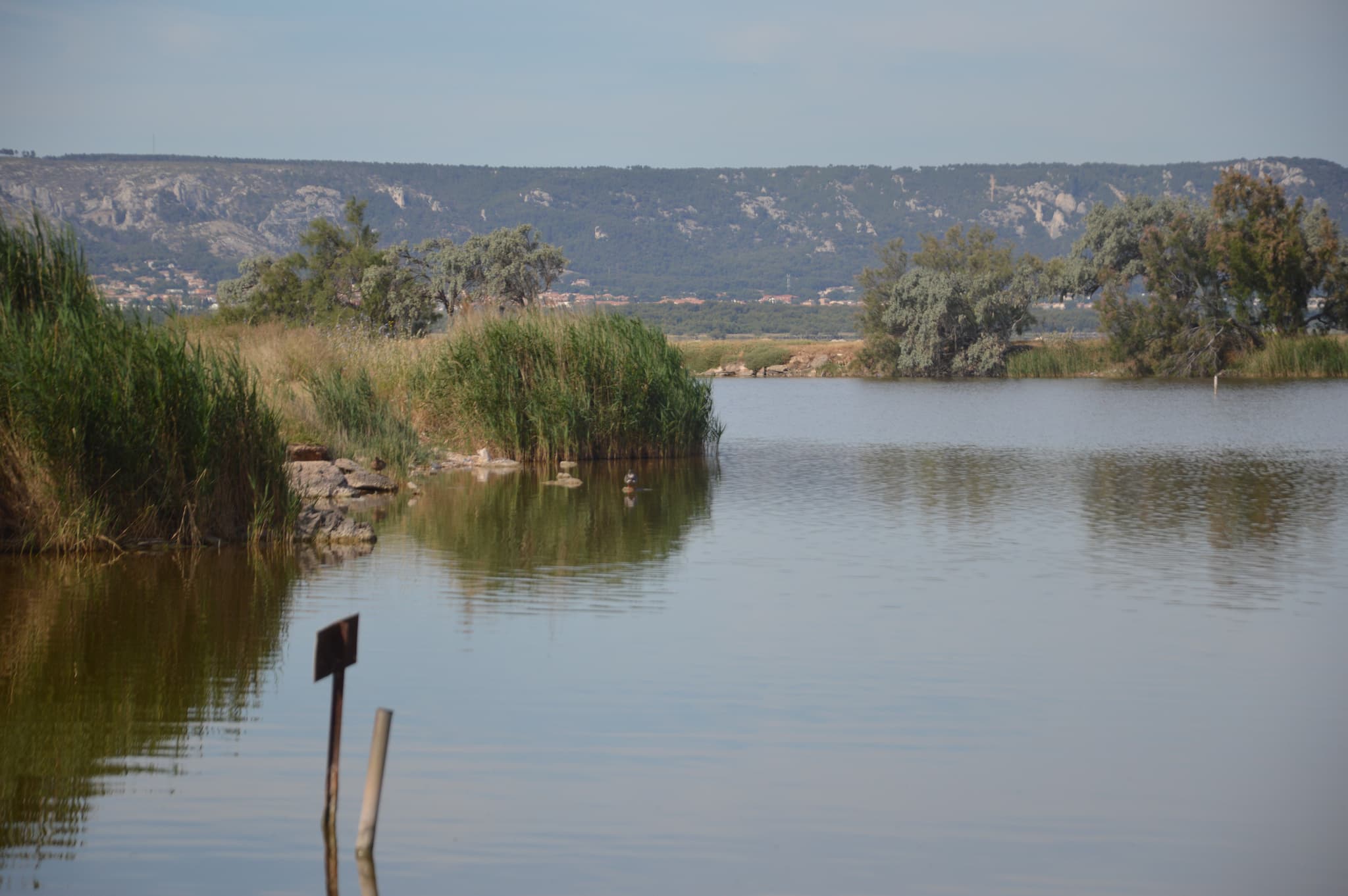 Au bord de l'étang de Bolmon