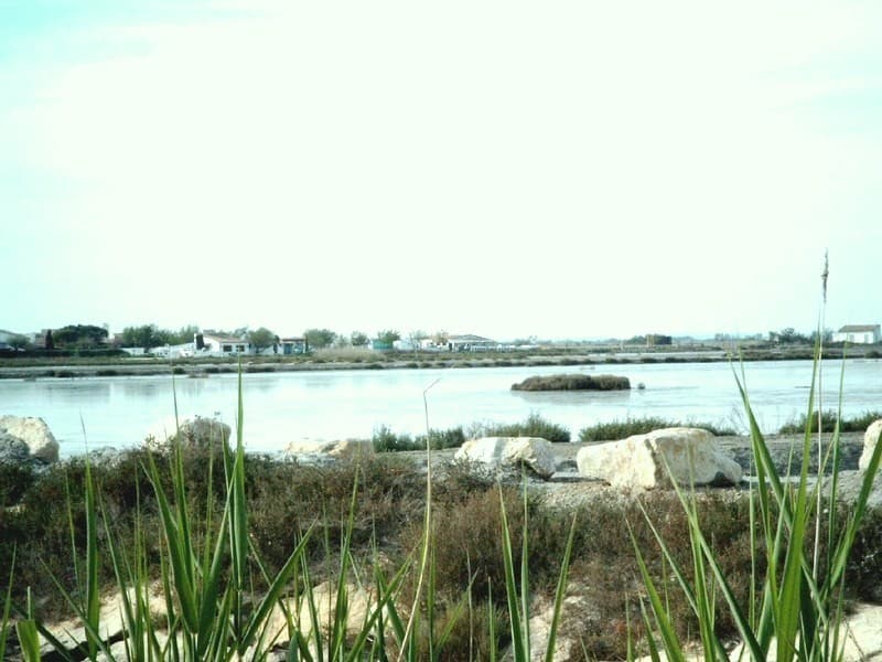 Couix Christian