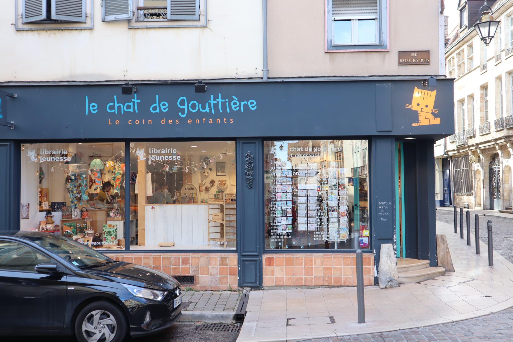 Le chat de gouttière
