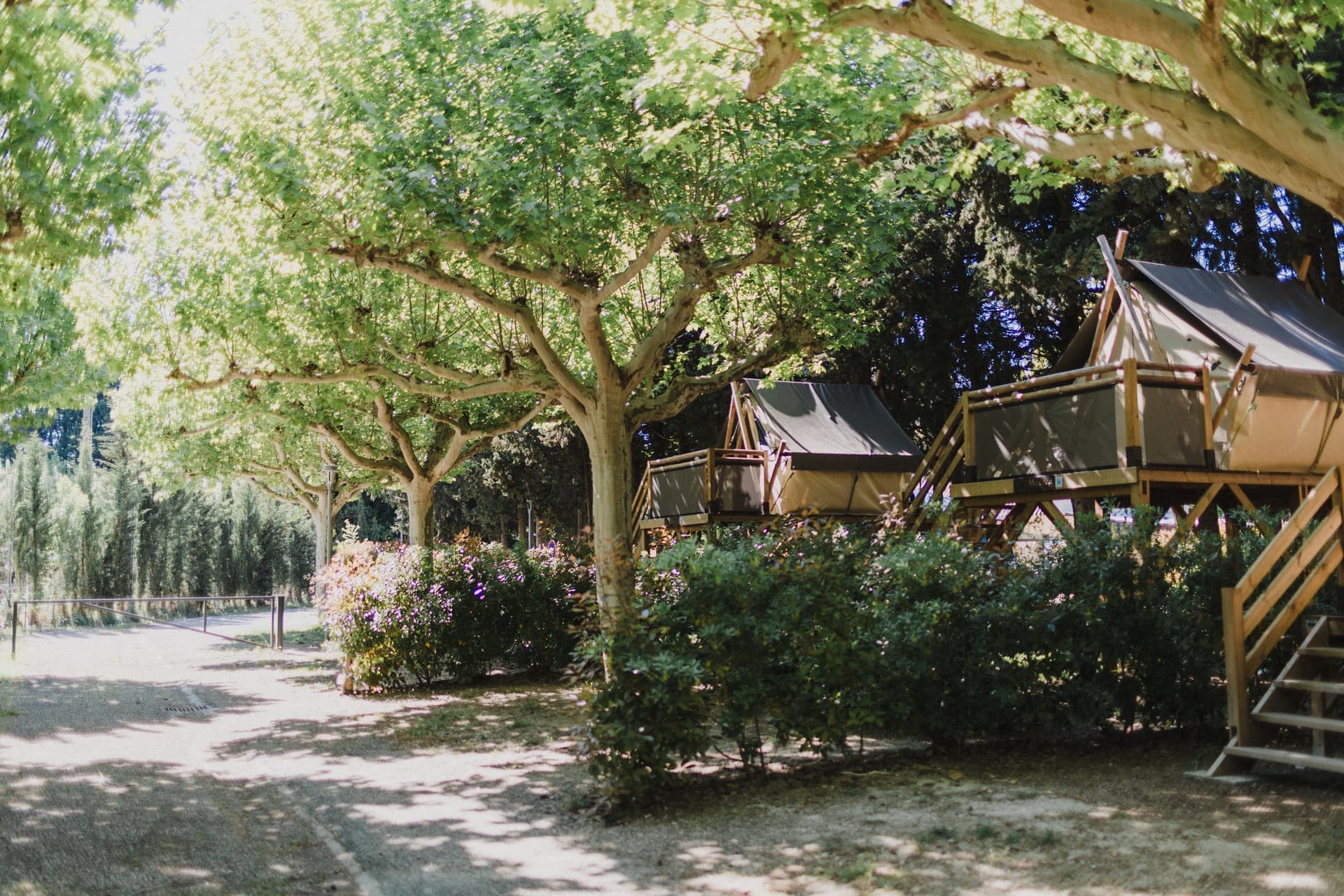 Camping Porte des Alpilles_Saint-Étienne-du-Grès