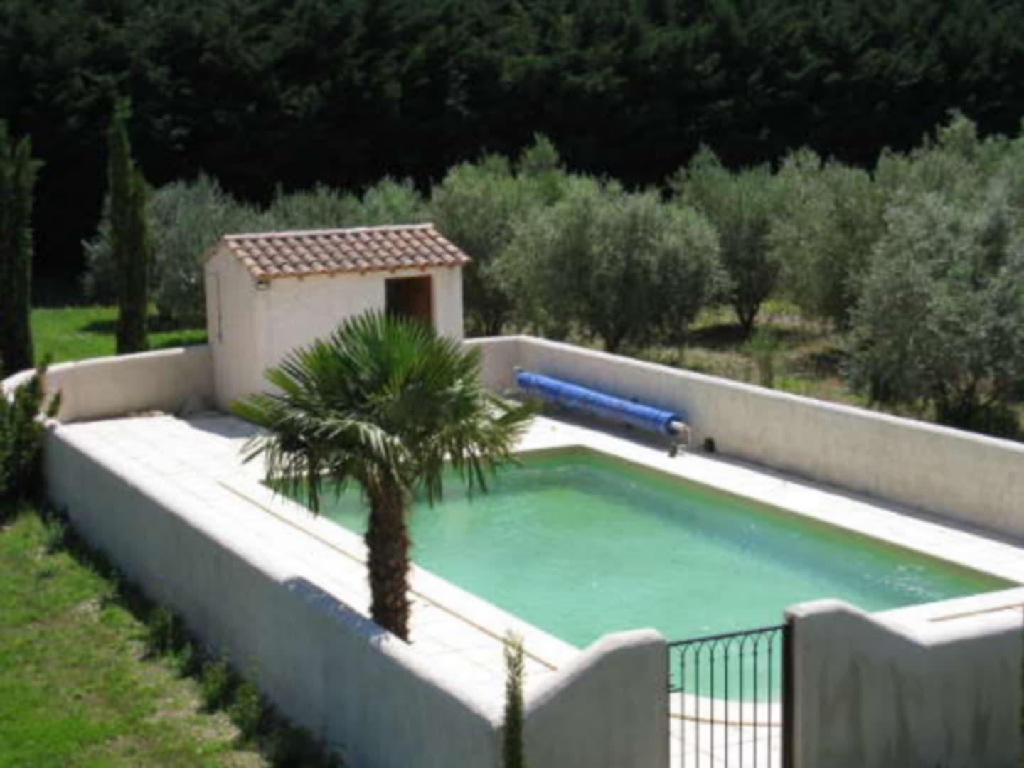 Les_oliviers_piscine
