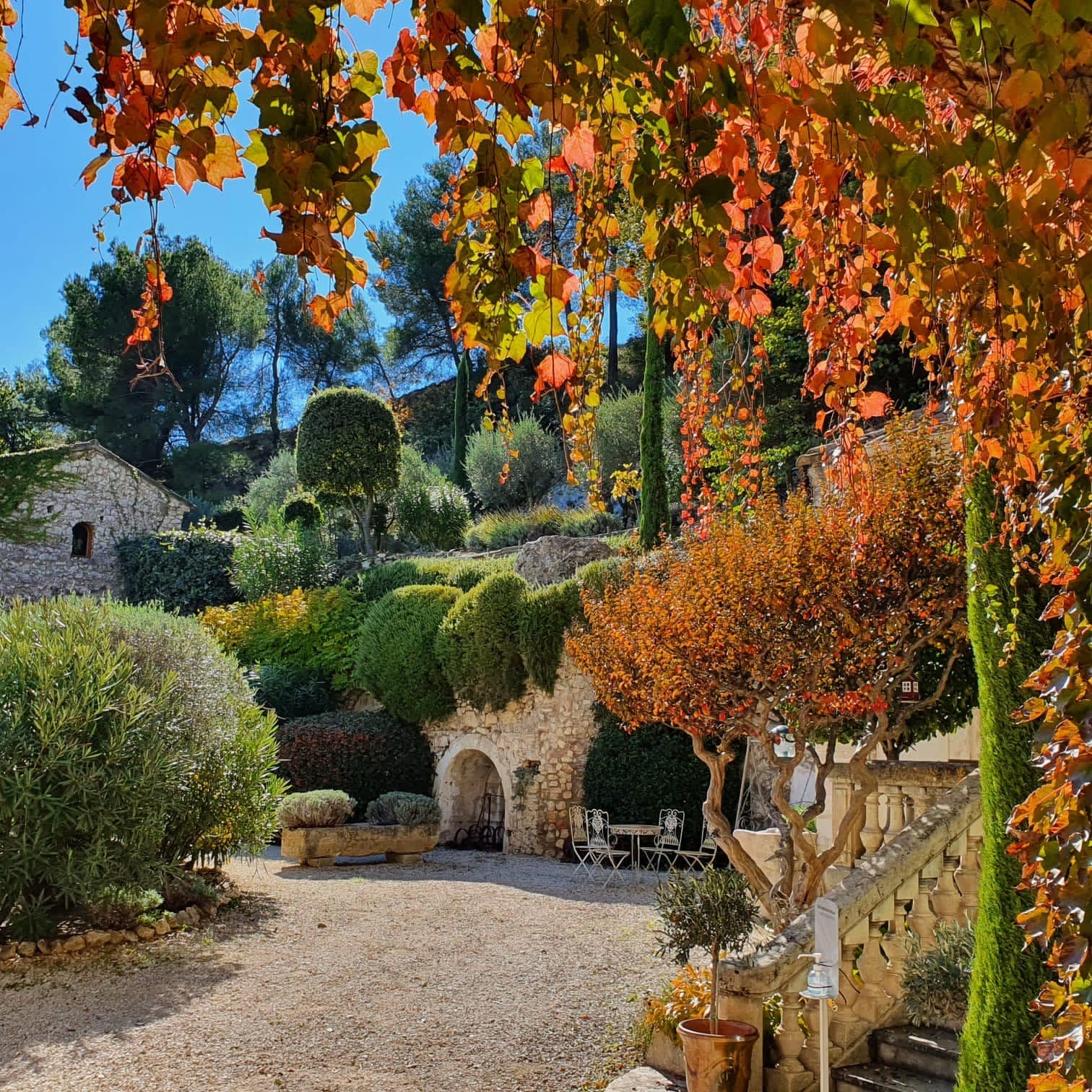 Le Lavandin