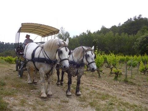 Les Calèches de Mado