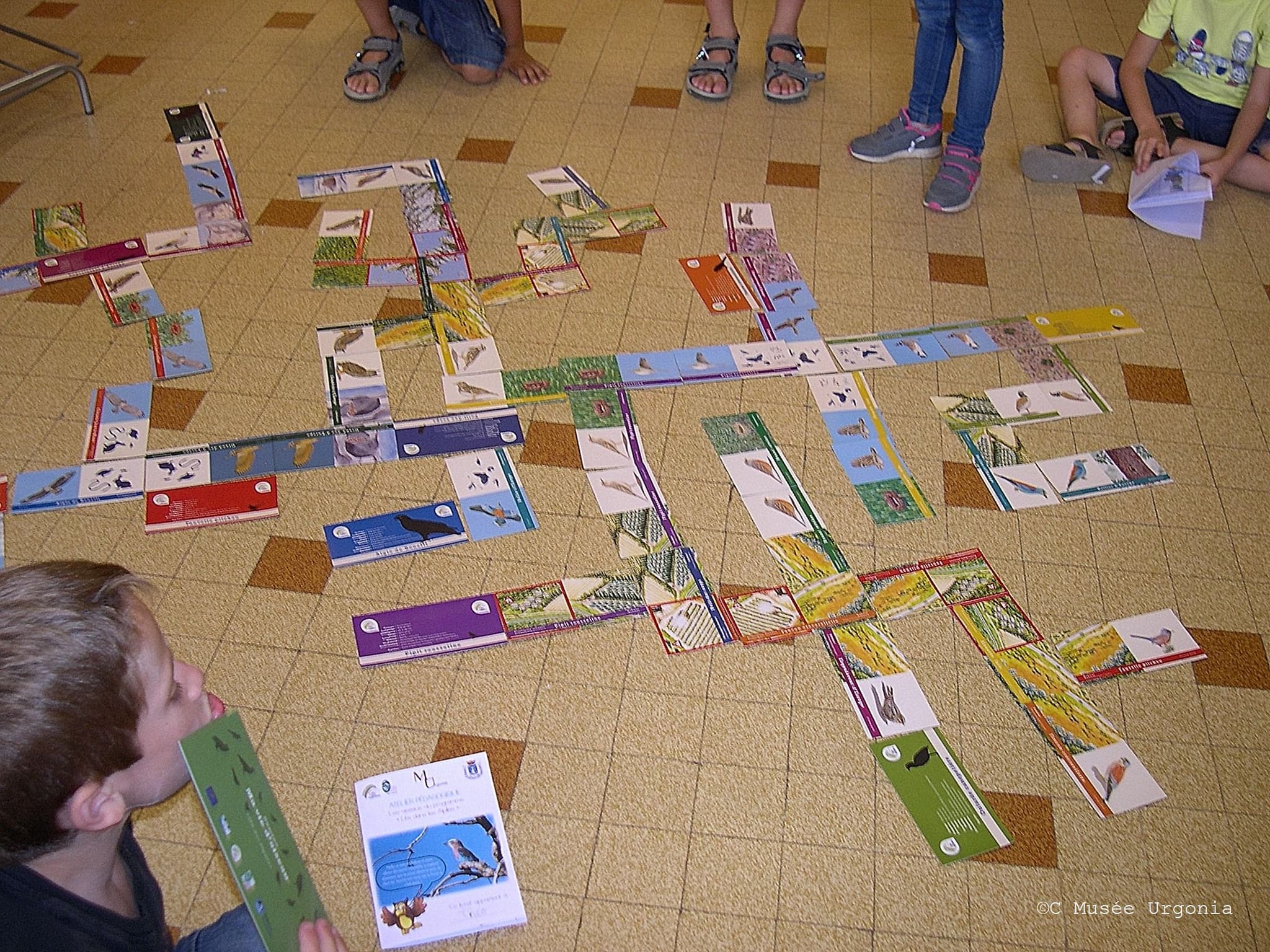 Atelier enfants : Les oiseaux des Alpilles_Orgon