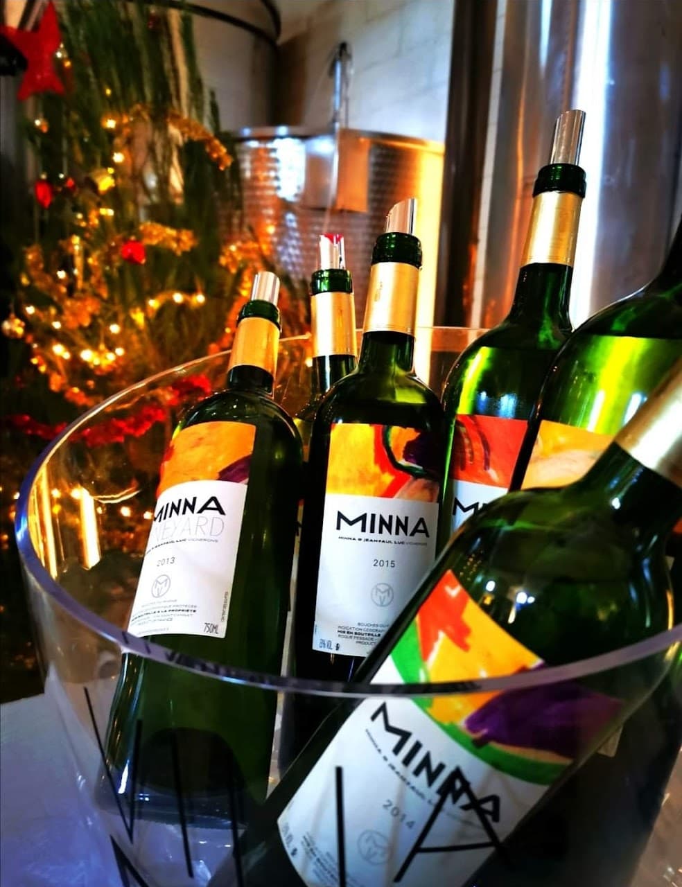 Villa Minna Vineyard