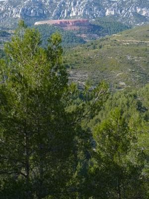 13VIS001060_4_WEB.jpg