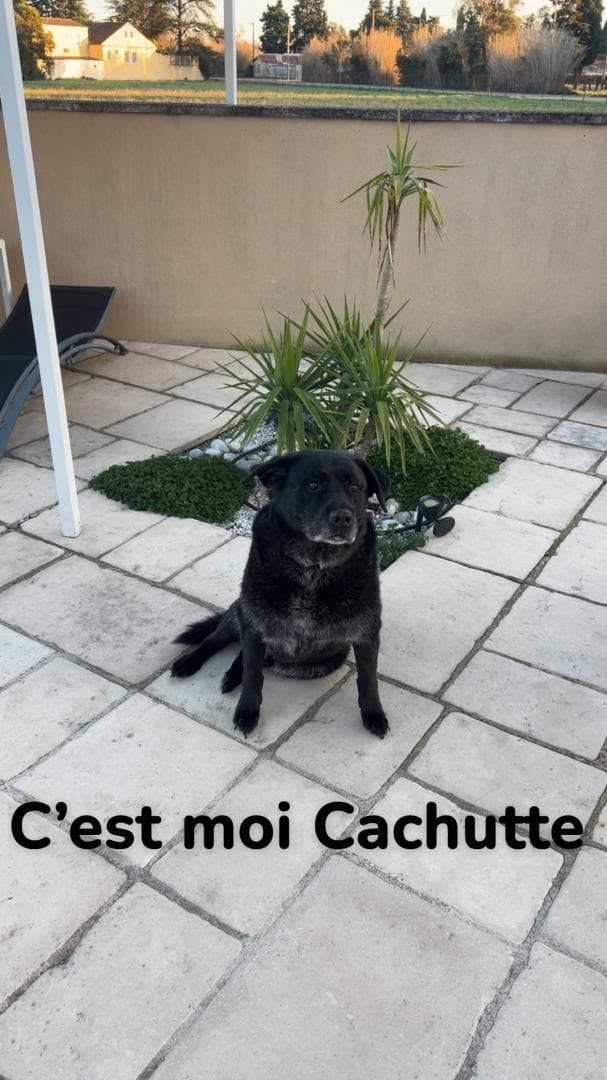 La Maison de Cahuette