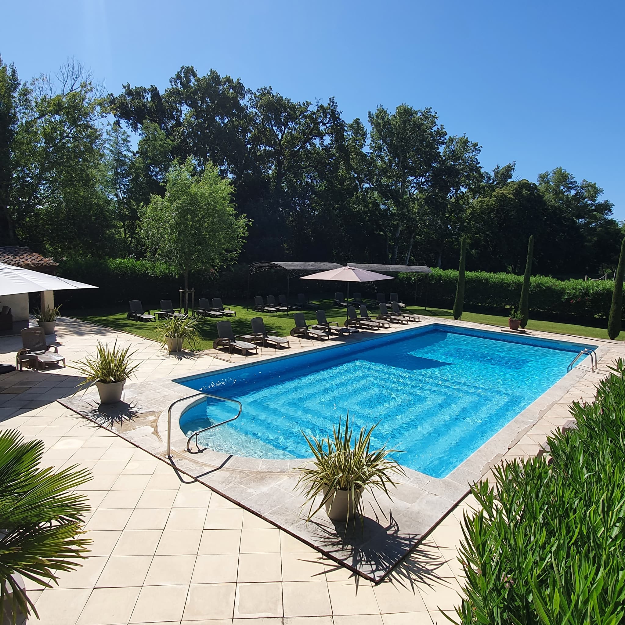 Le Lavandin