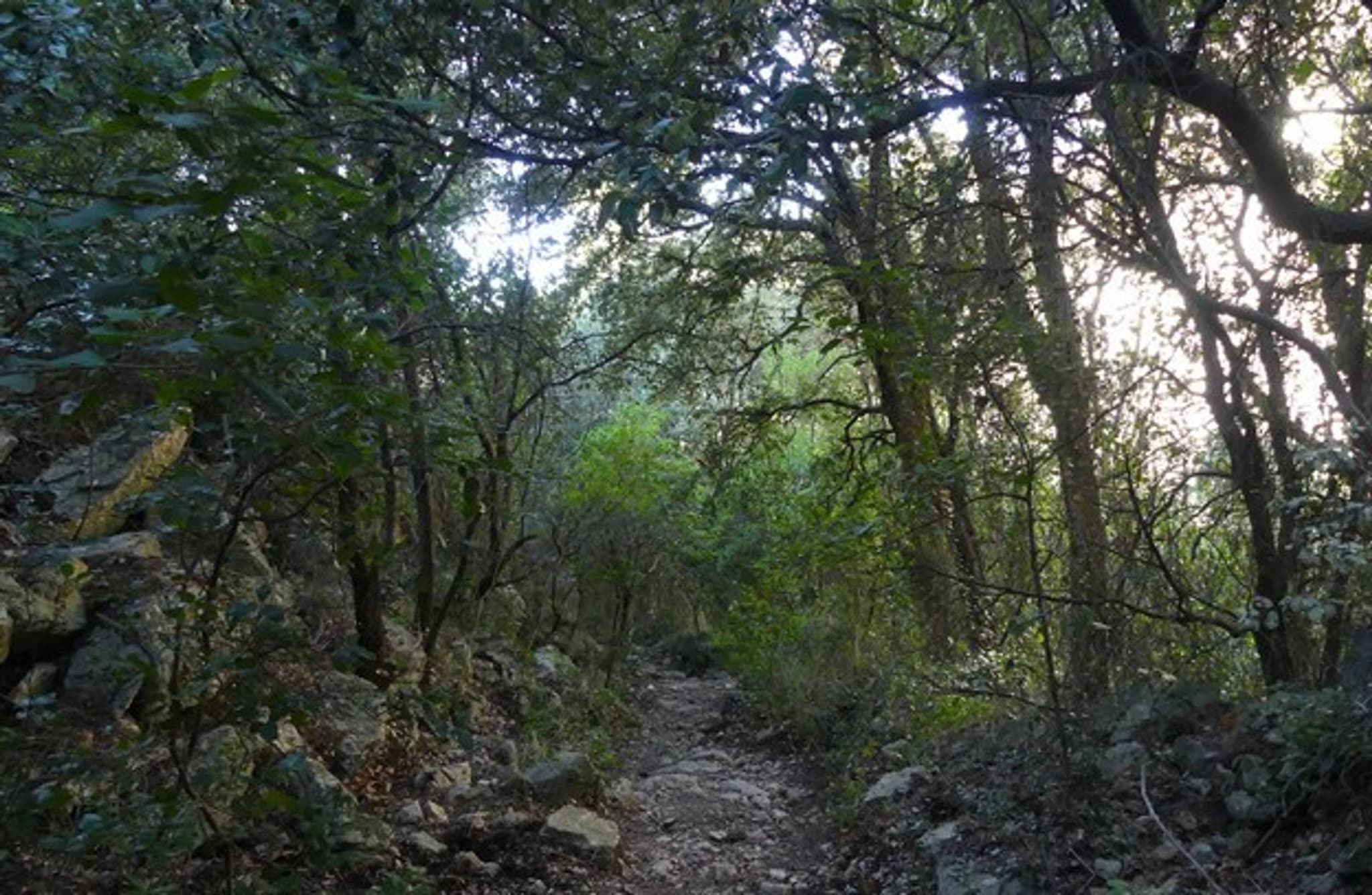 GÉMENOS - Le sentier du Limbert par les Cabrelles