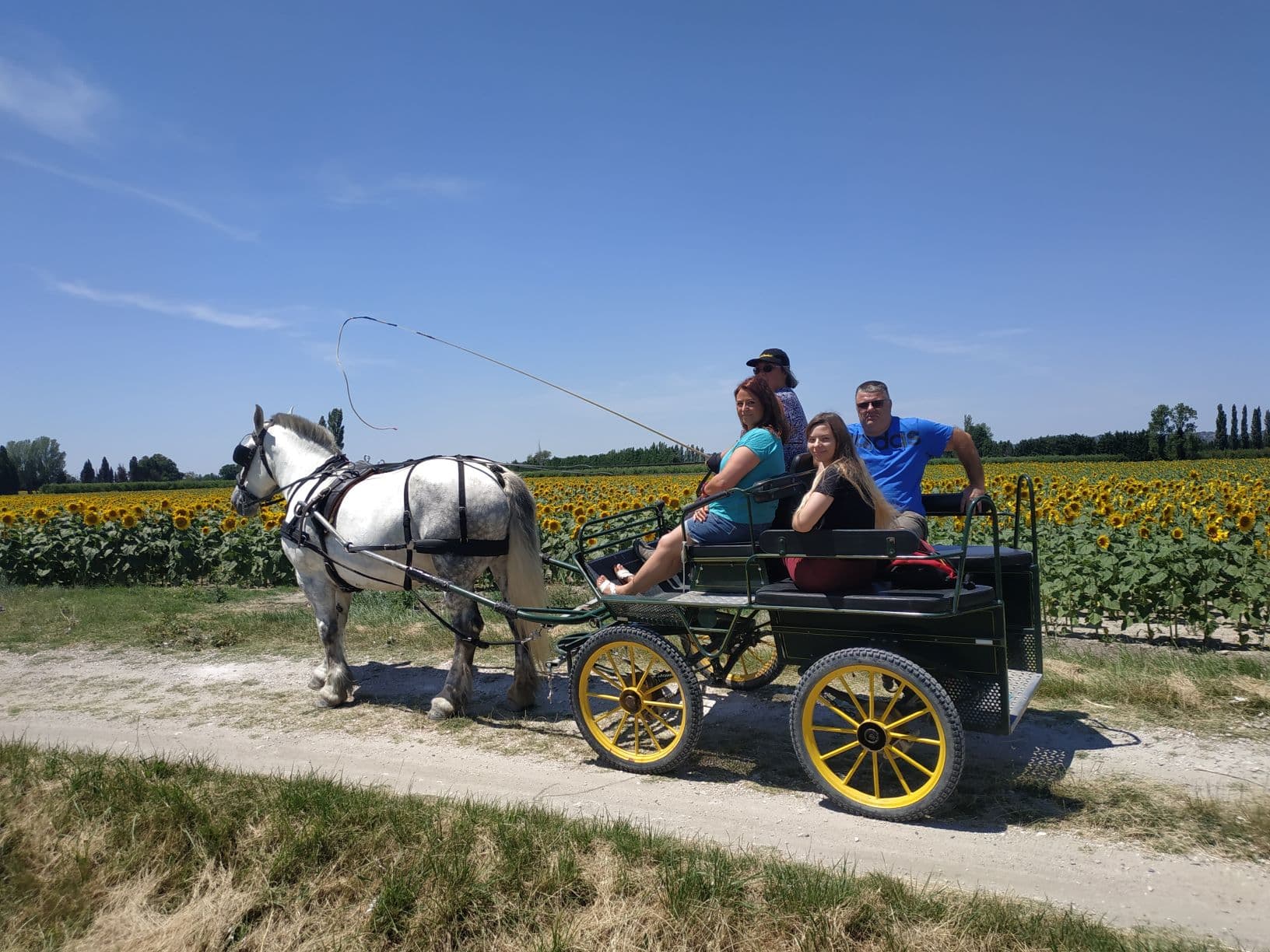 Les Calèches de Mado
