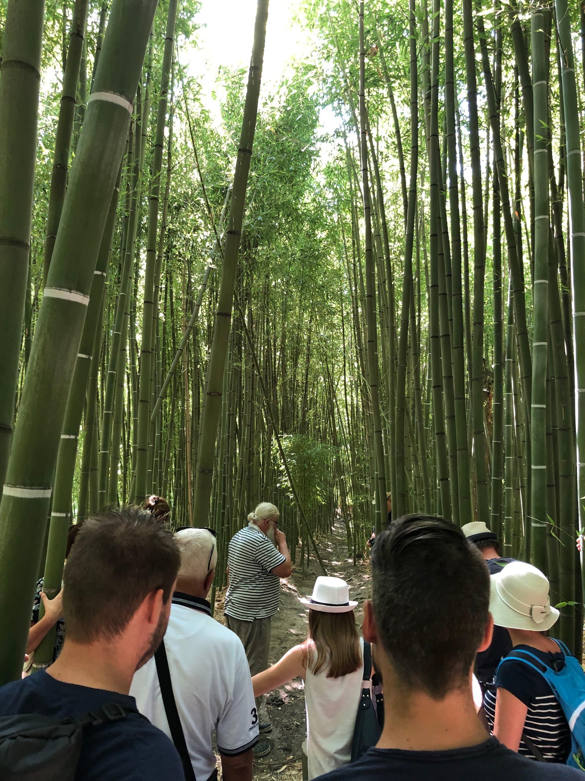 Visite de la bambouseraie de Sulauze & Découverte du foin de Crau