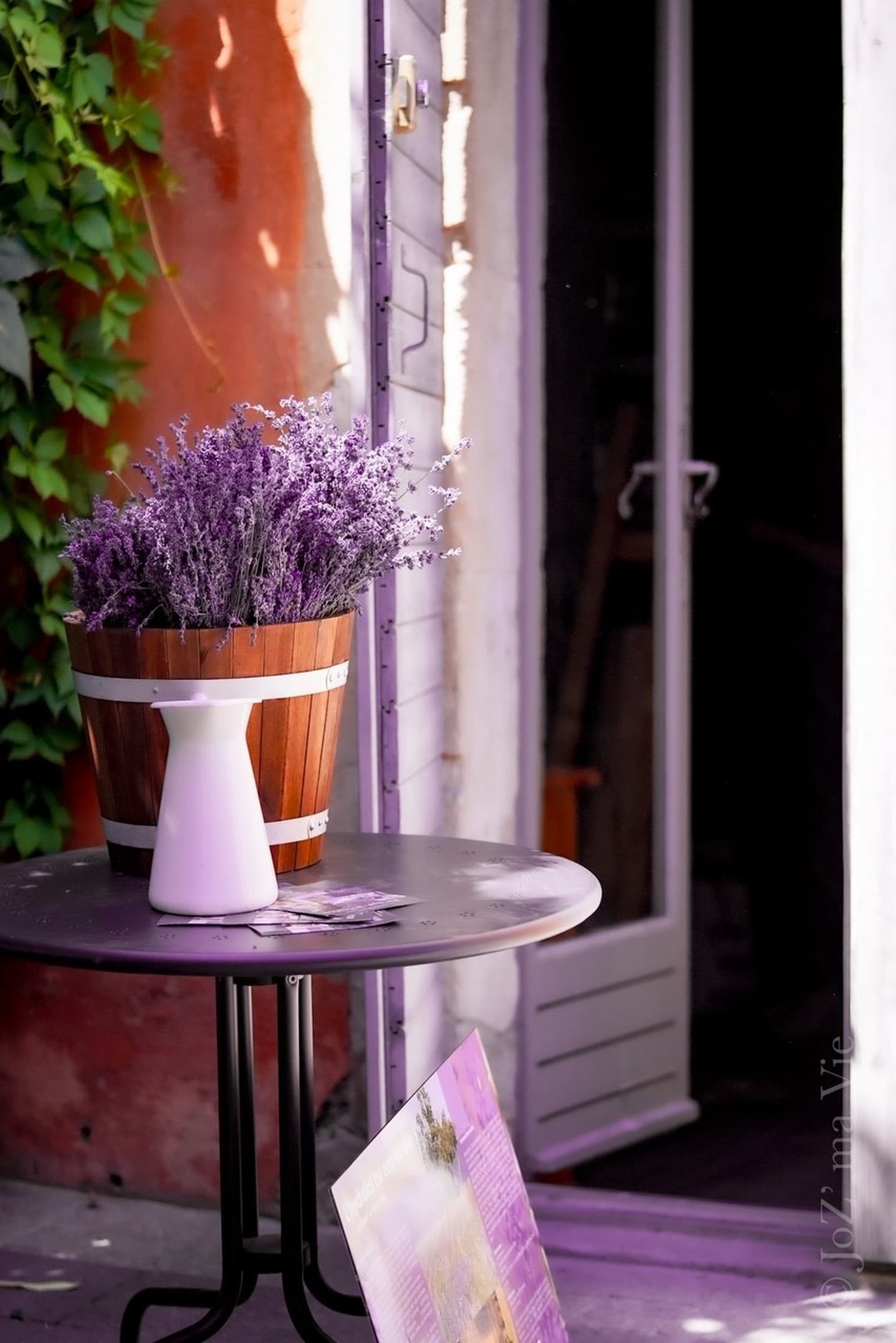 Chateau_la_gabelle_entree