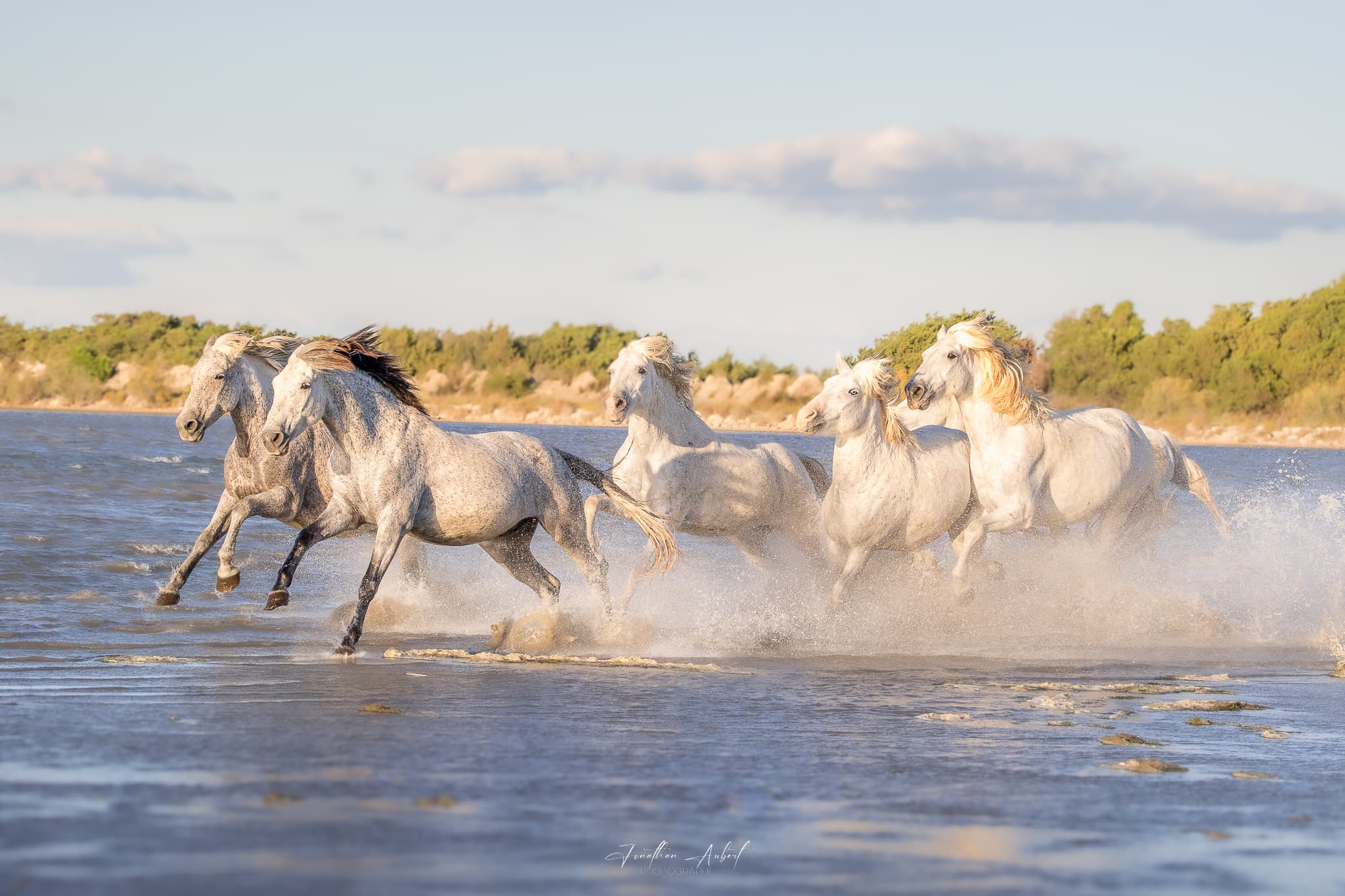 Jonathan Aubert Photographe_Saintes-Maries-de-la-Mer