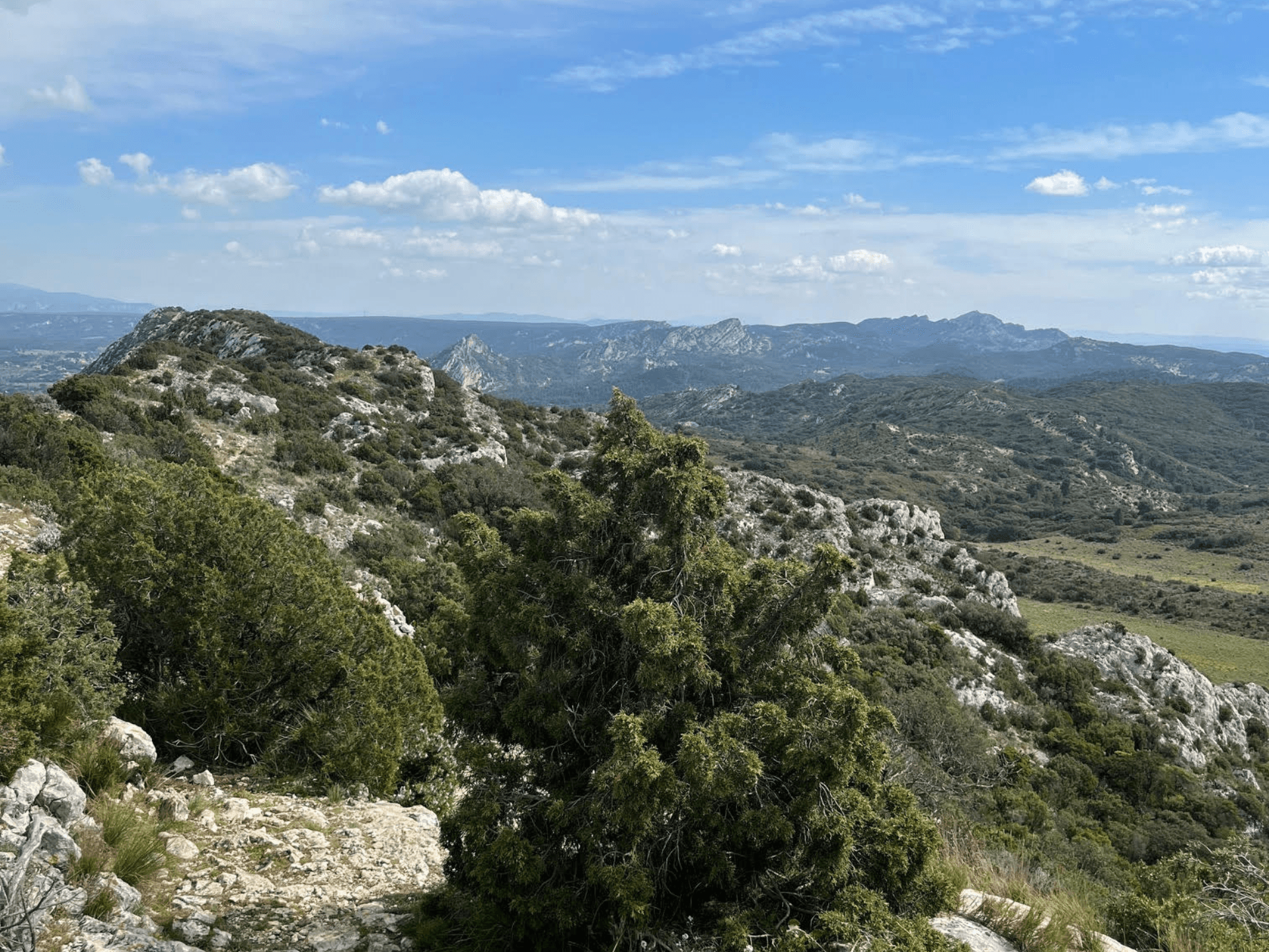 Les crêtes de Saint-Rémy-de-Provence_Saint-Rémy-de-Provence
