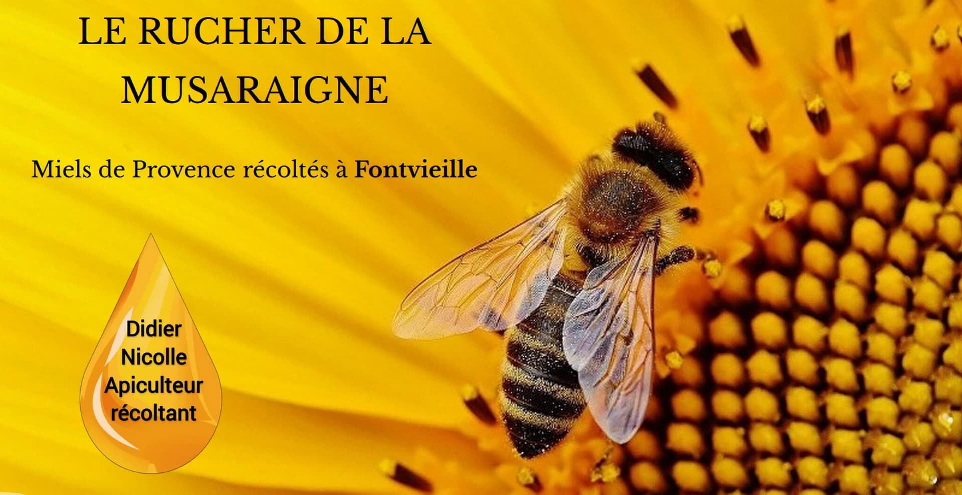 Le Rucher de la Musaraigne_Fontvieille
