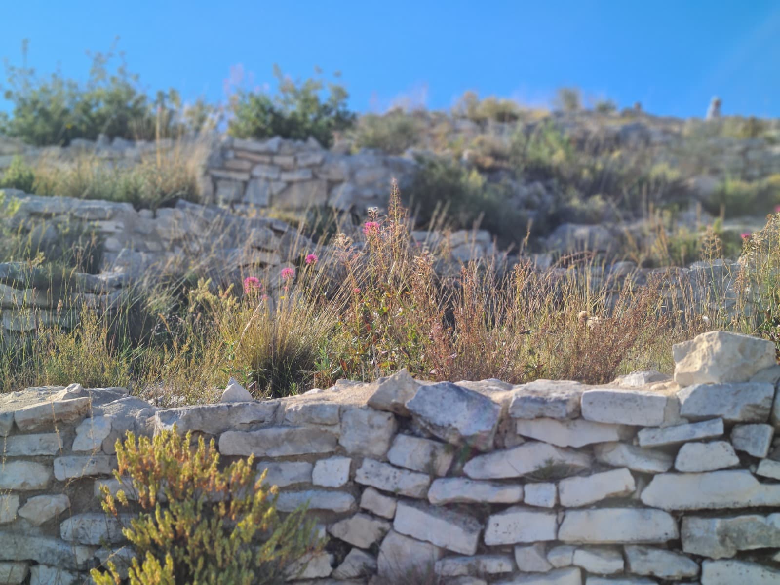 Oppidum de Verduron_Marseille