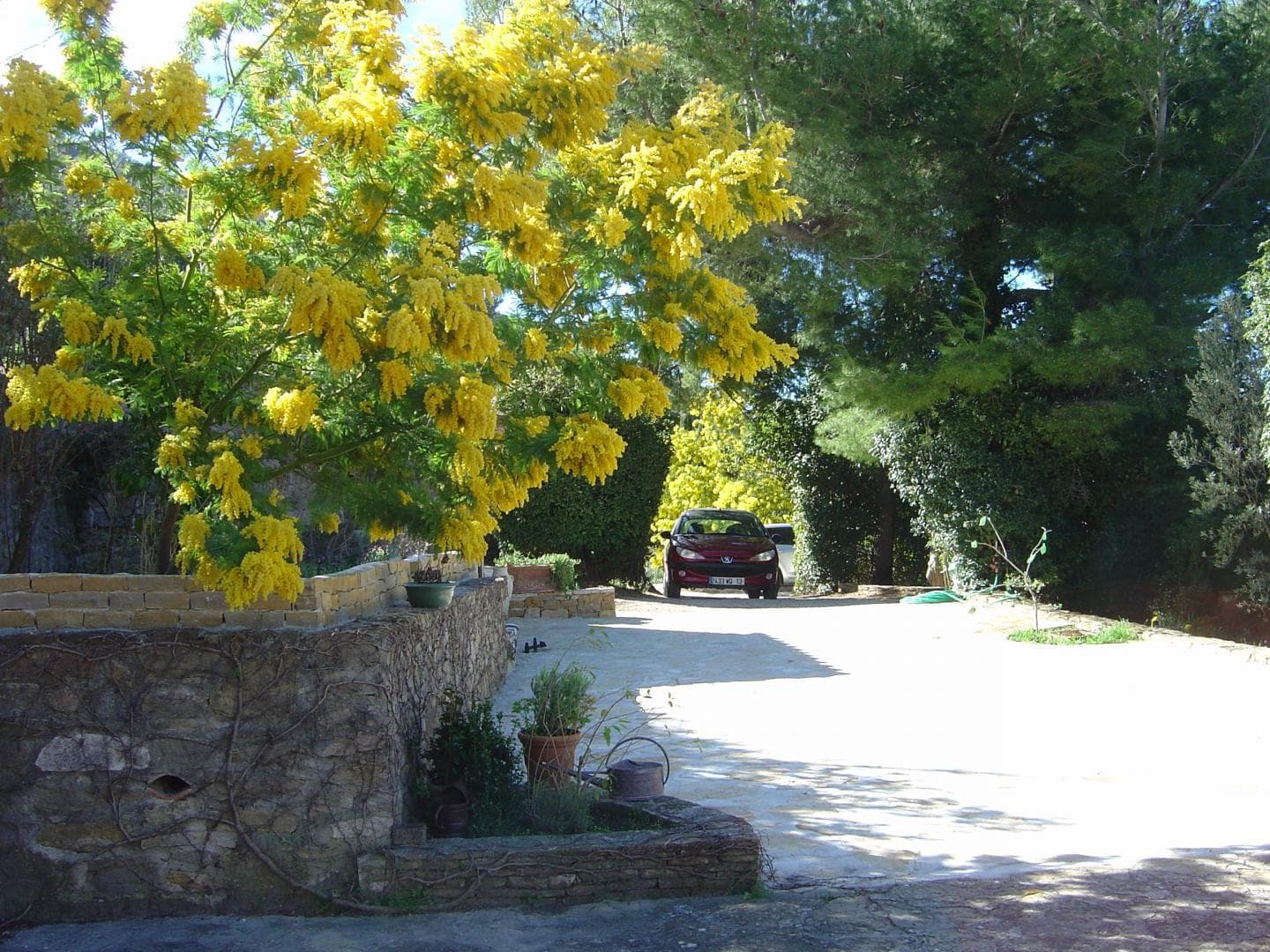 Les Cigales