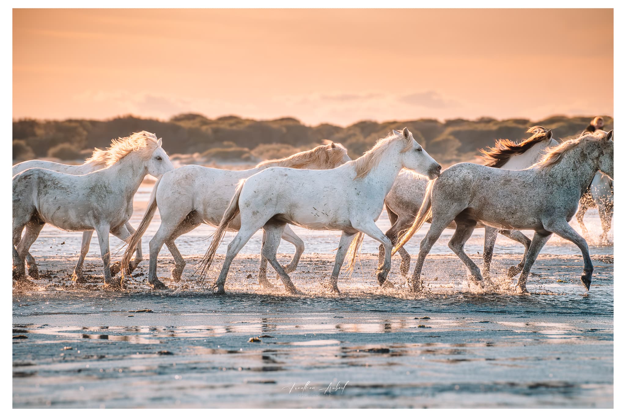 Jonathan Aubert Photographe_Saintes-Maries-de-la-Mer