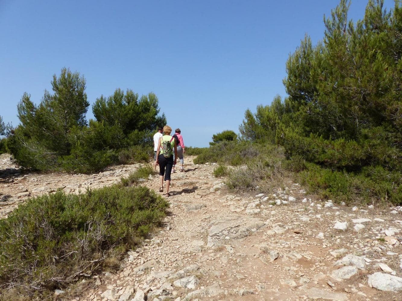 Le Margouillat