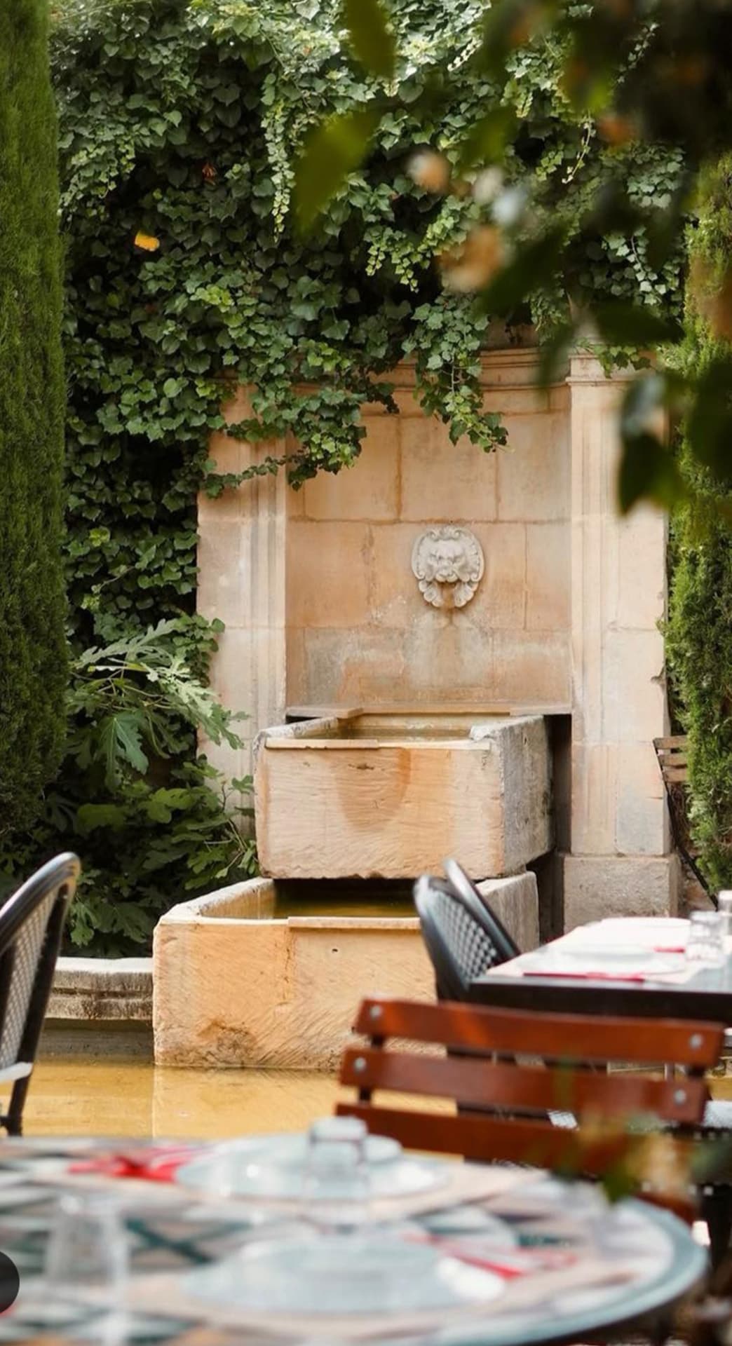 Maison Mistral, Bistrot les Pieds dans l'eau_Saint-Rémy-de-Provence