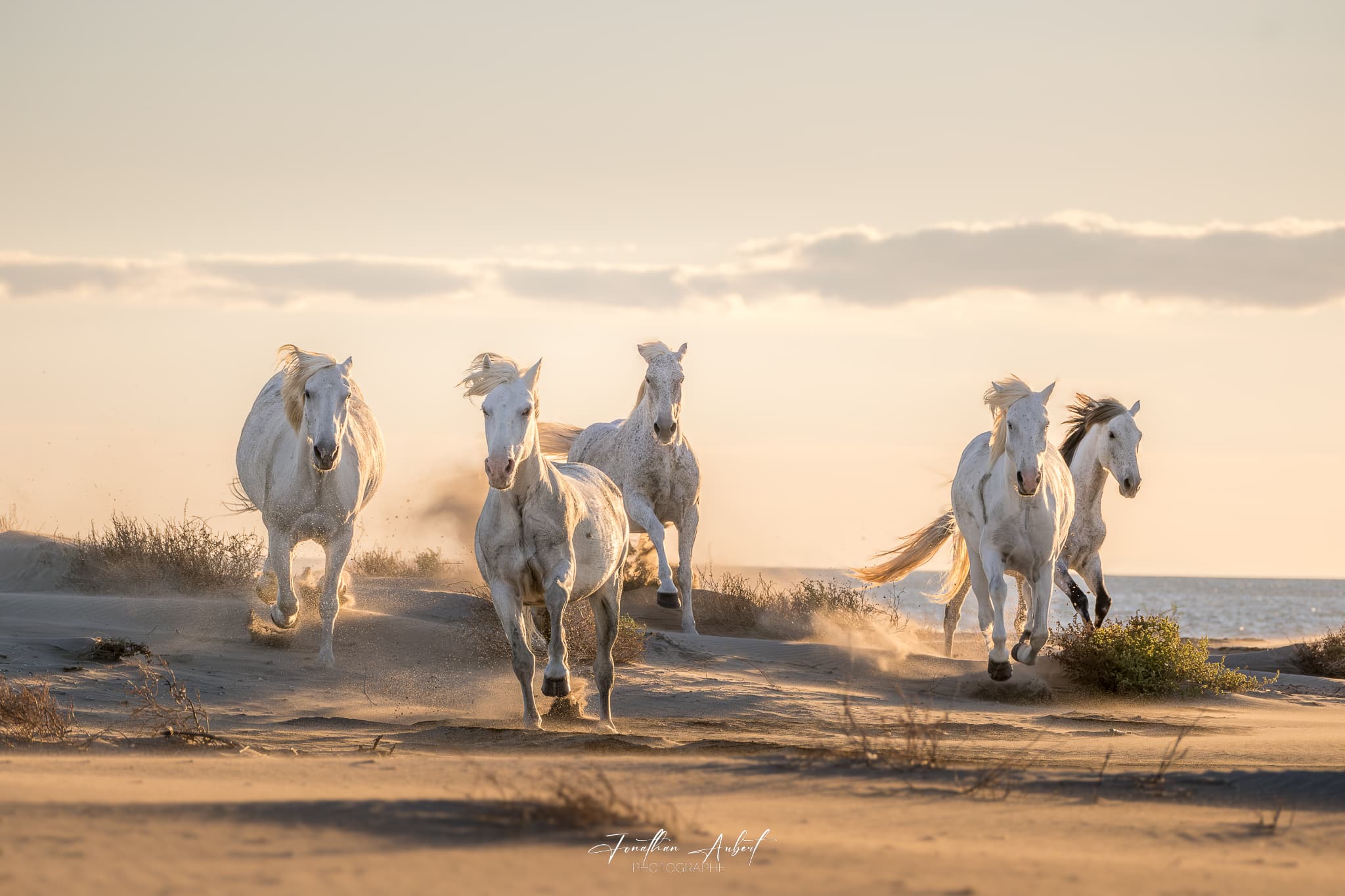 Jonathan Aubert Photographe_Saintes-Maries-de-la-Mer