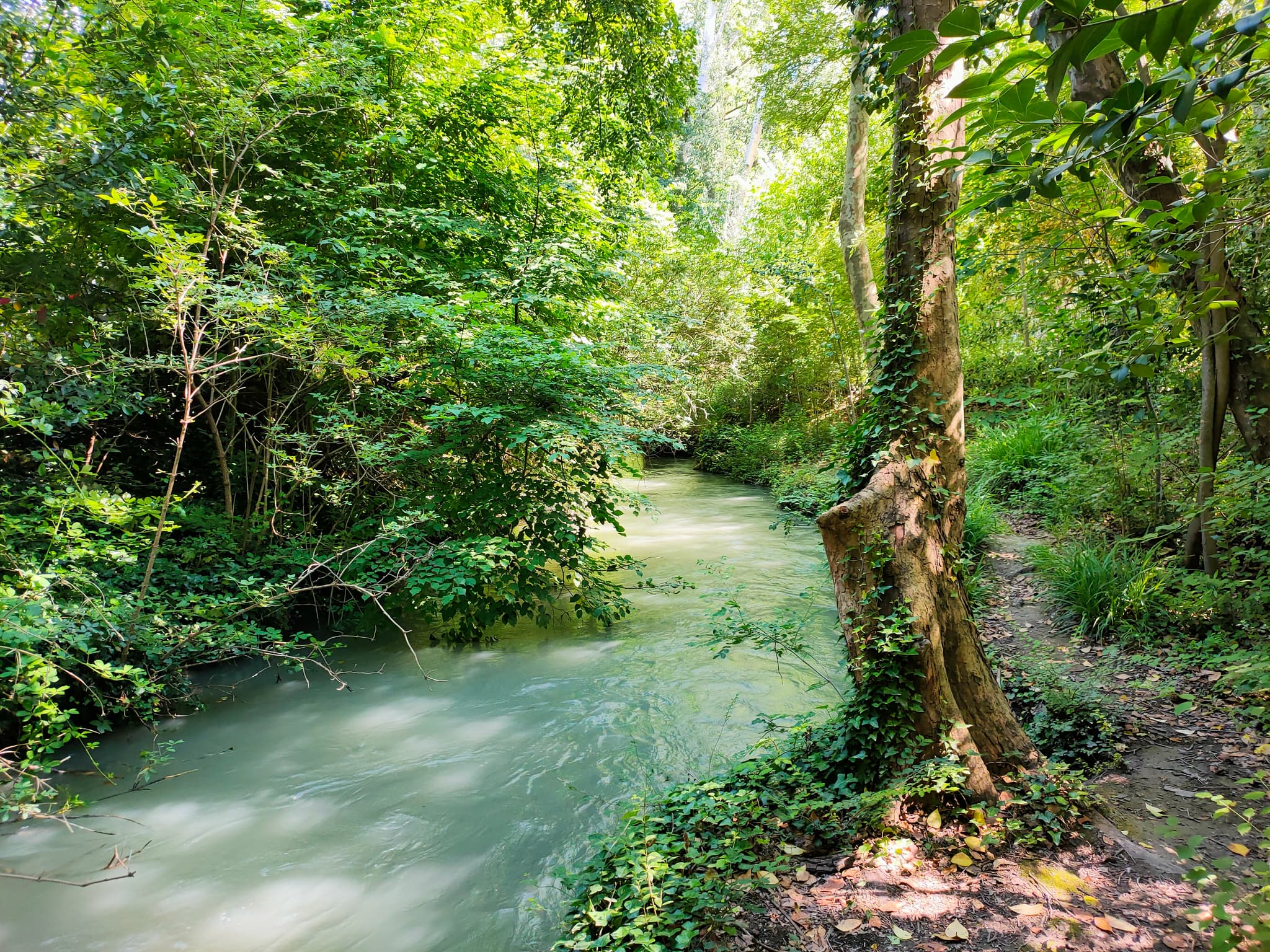 Chemin de la Dame en Vert