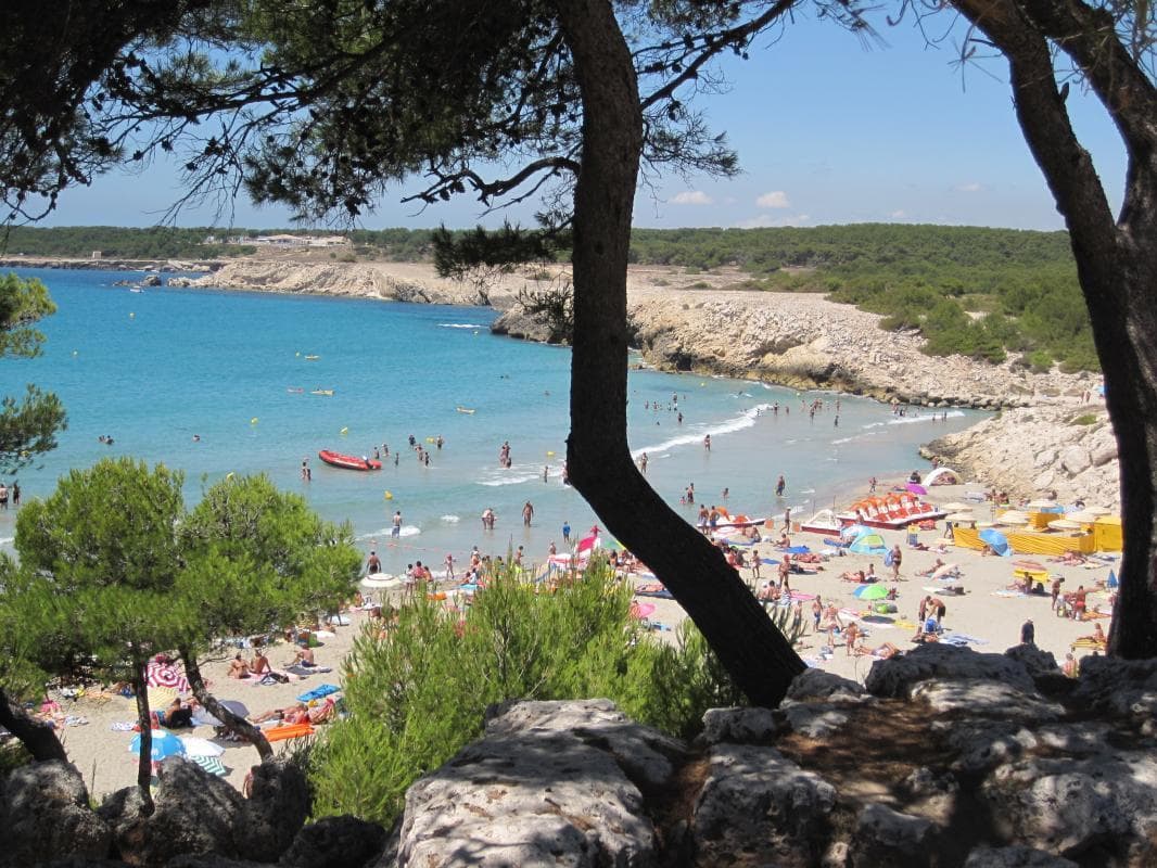 Le Margouillat