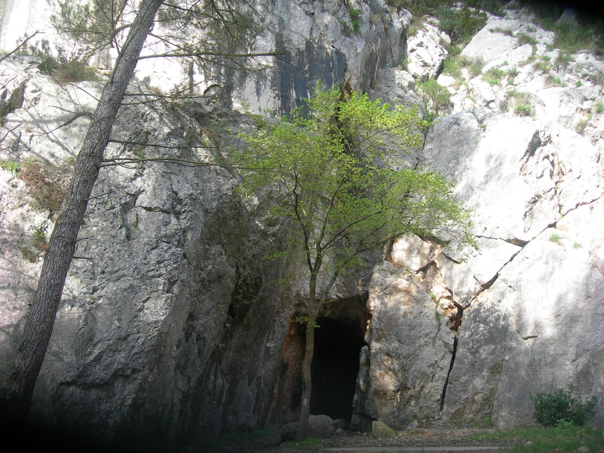 13VIS001872_1_HD.jpg