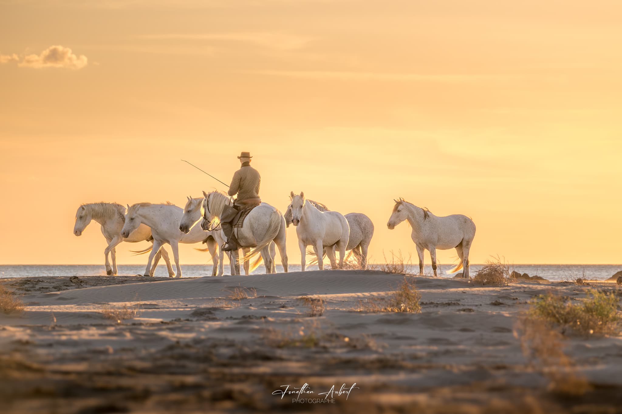 Jonathan Aubert Photographe_Saintes-Maries-de-la-Mer