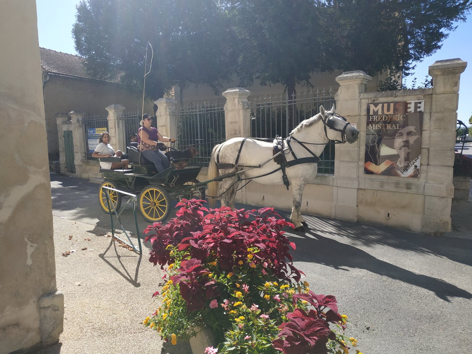 Les Calèches de Mado