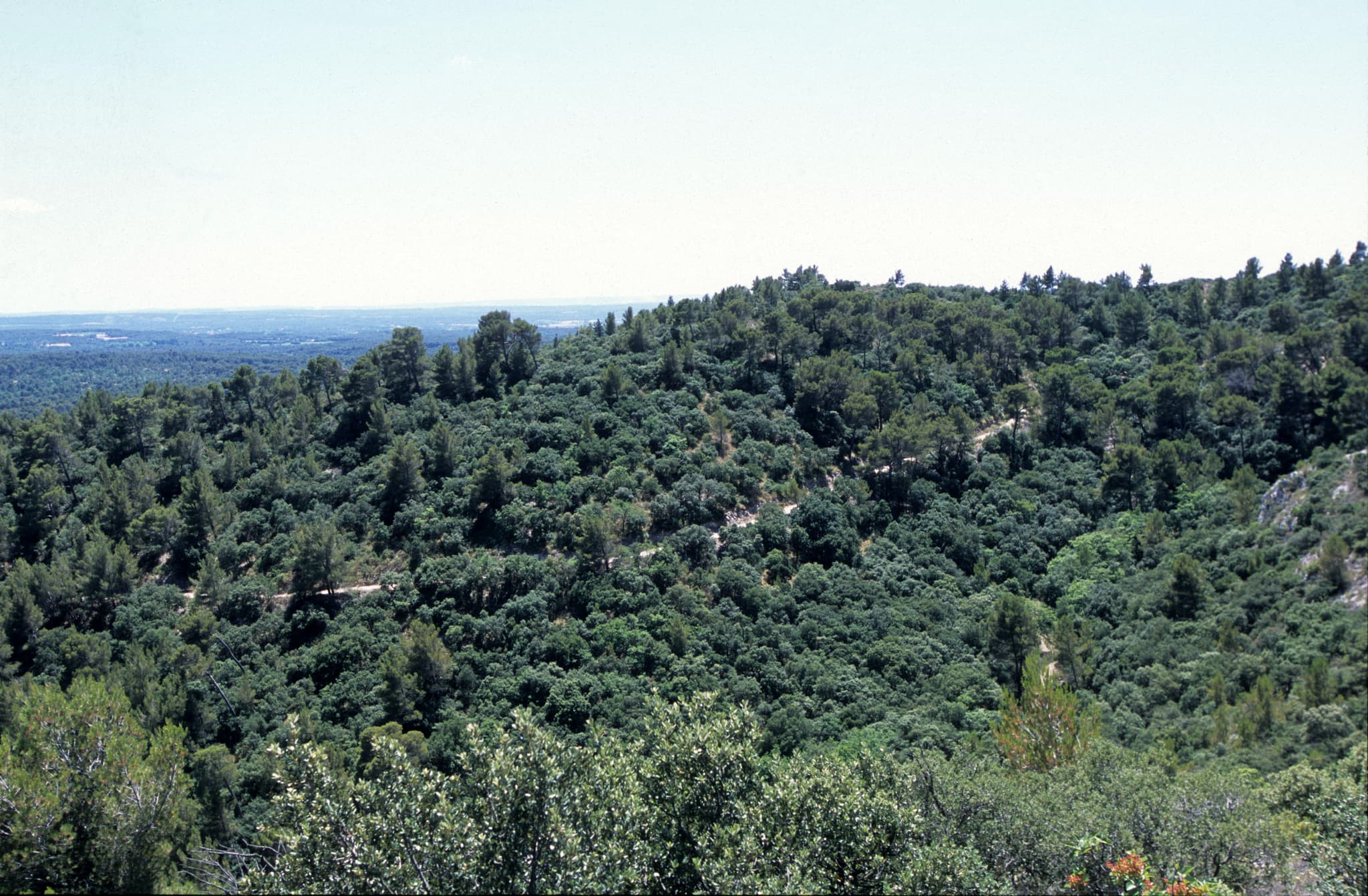 Rognes : Caireval - circuit VTT 4_Rognes