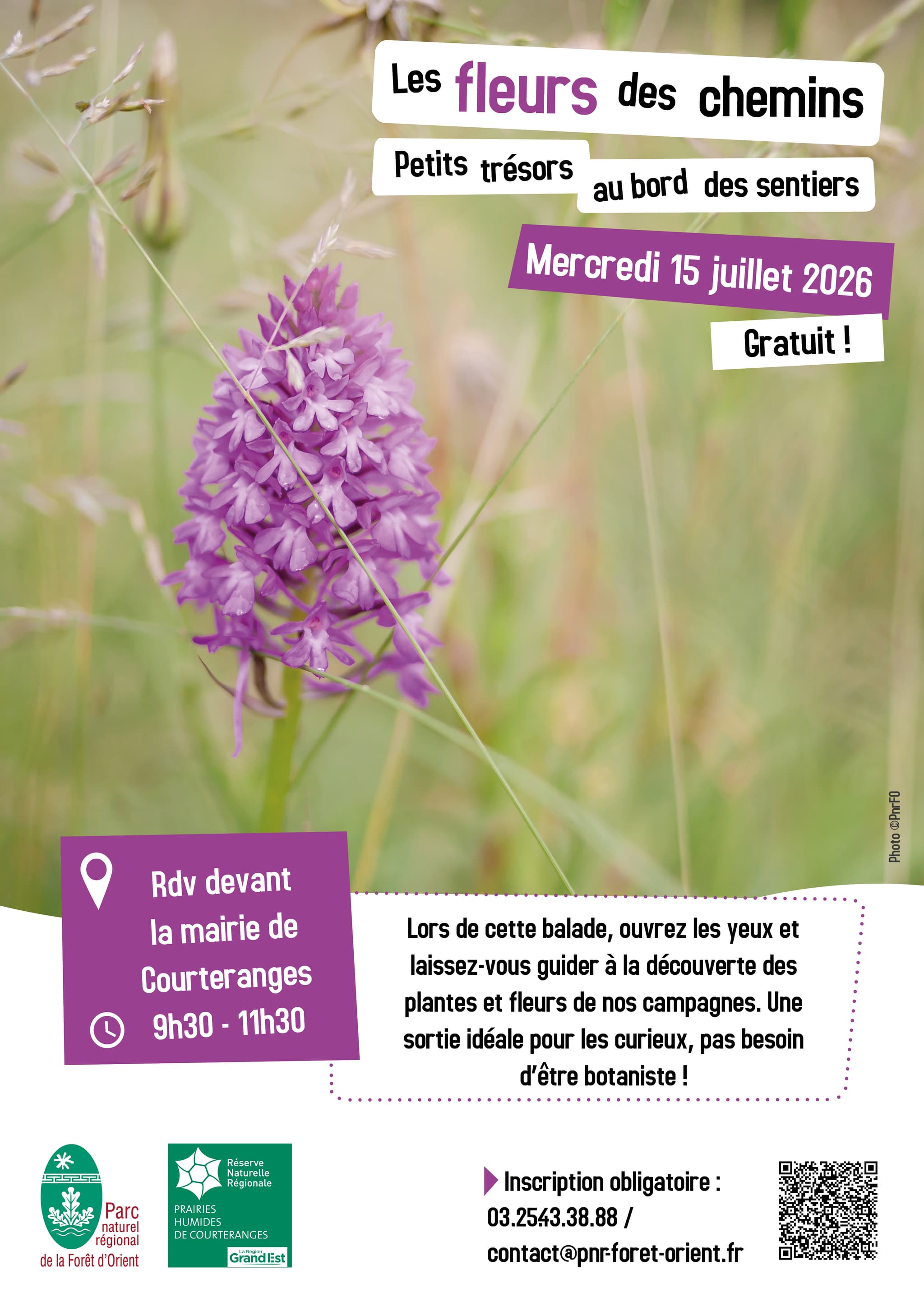 Les fleurs des chemins : Petits trésors au bord des sentiers_Courteranges