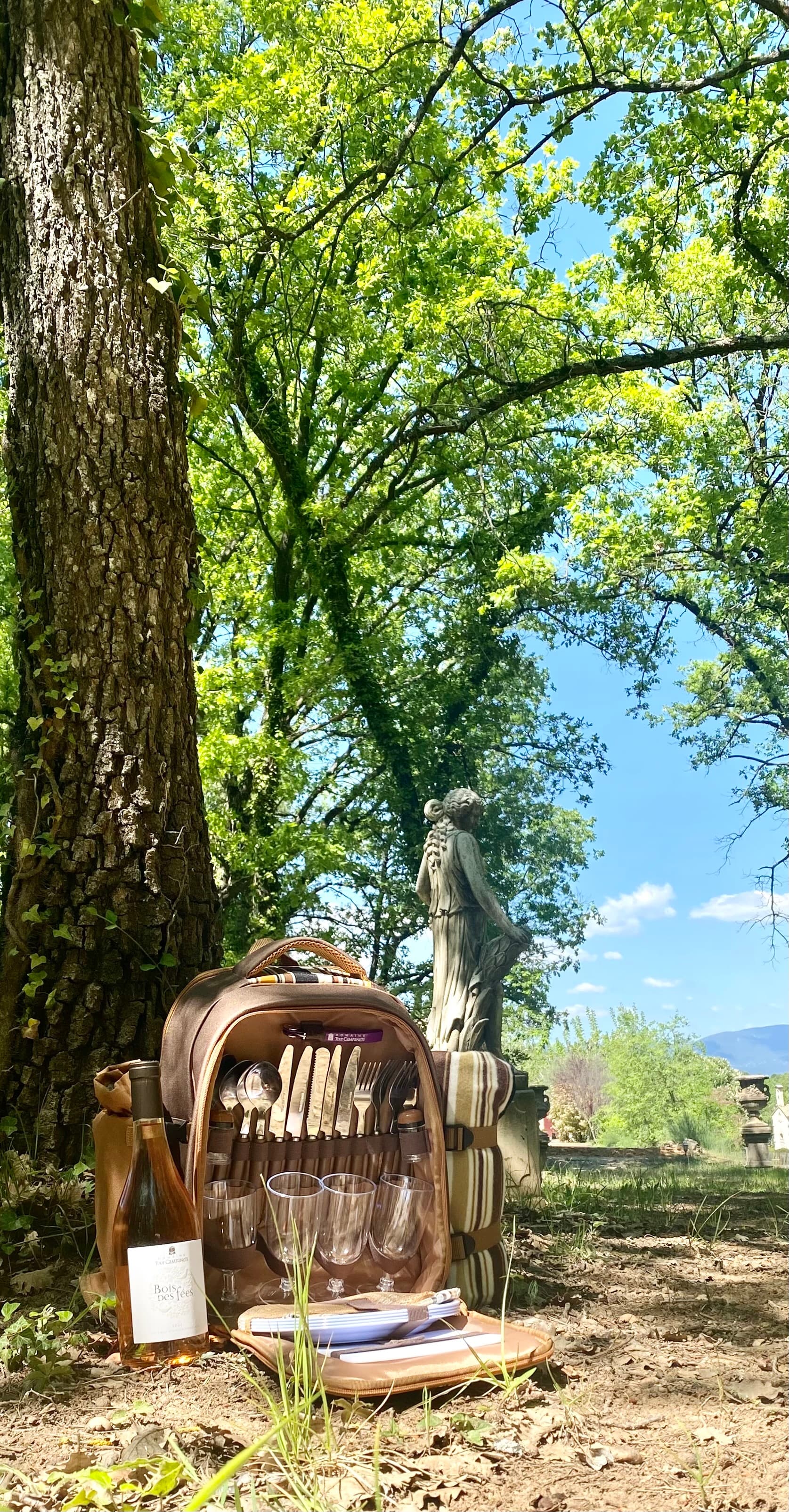 Domaine Tour Campanets