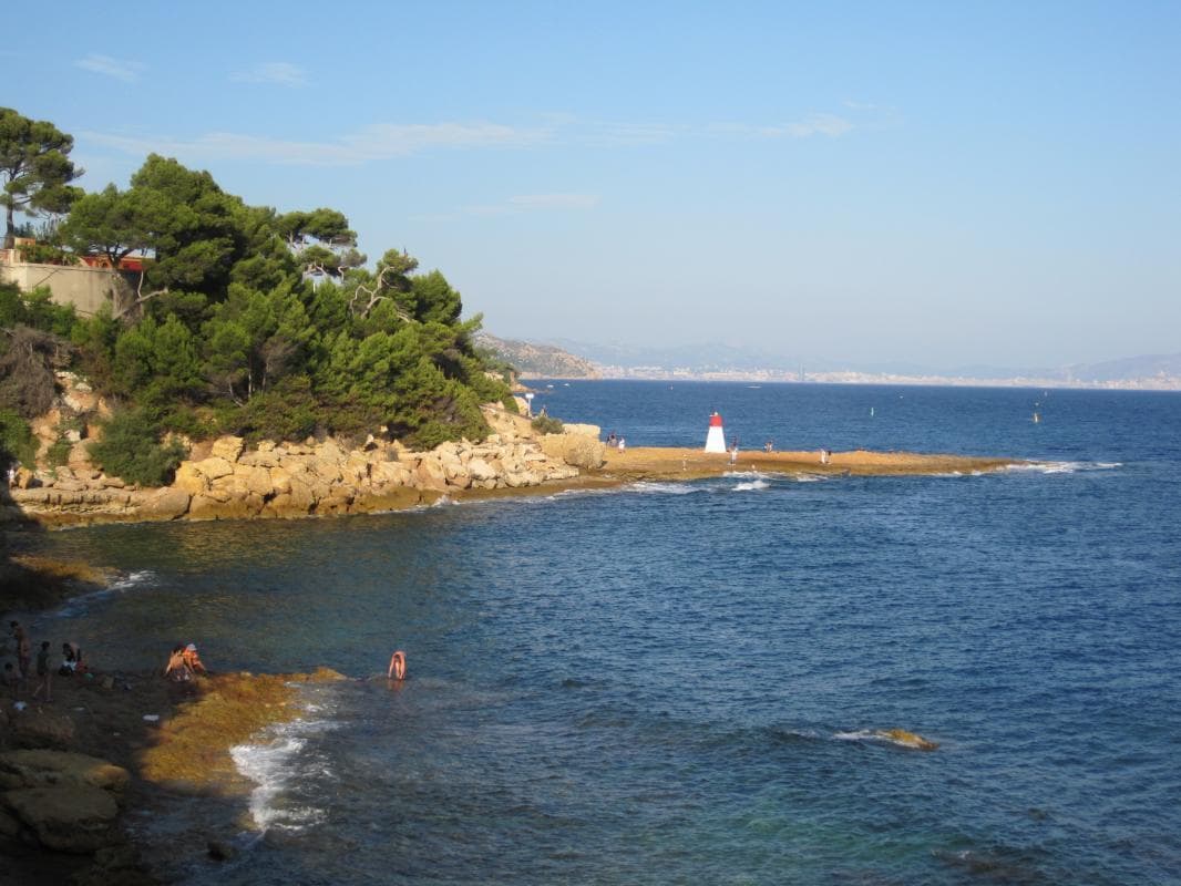 Le Margouillat