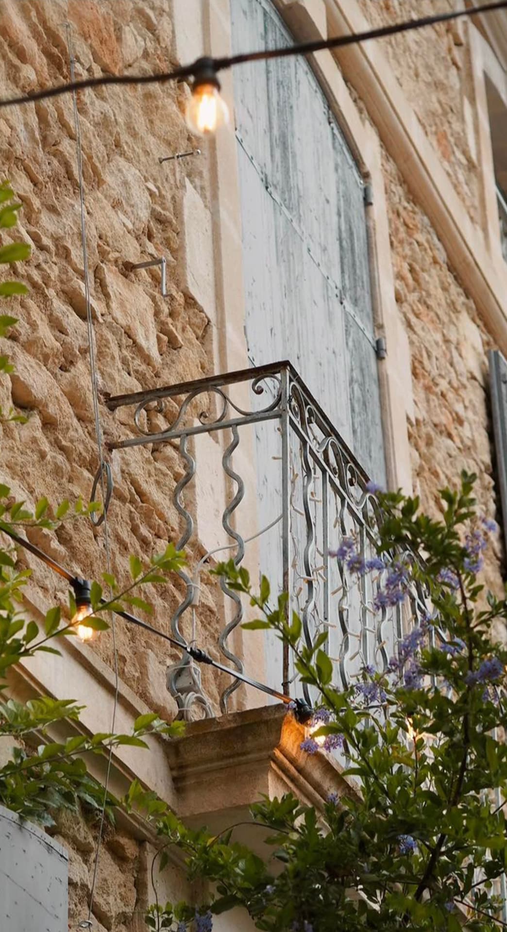 Maison Mistral, Bistrot les Pieds dans l'eau_Saint-Rémy-de-Provence
