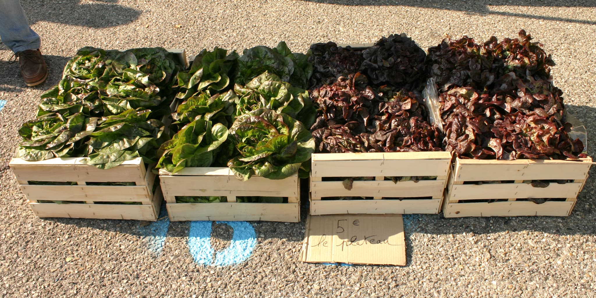 Marché des producteurs