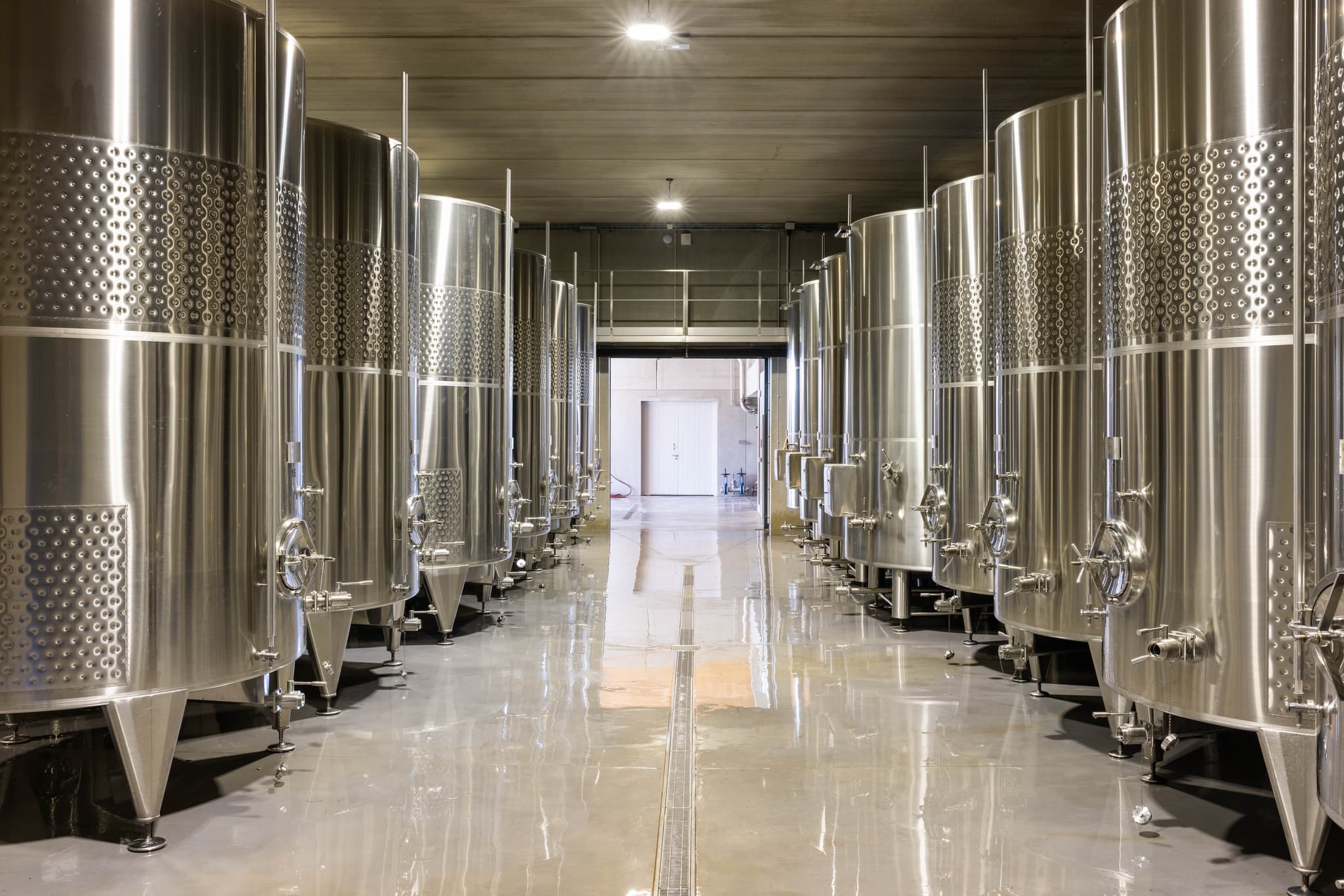 Chai de vinification : Cuverie