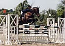 13T3000570_1_WEB.jpg