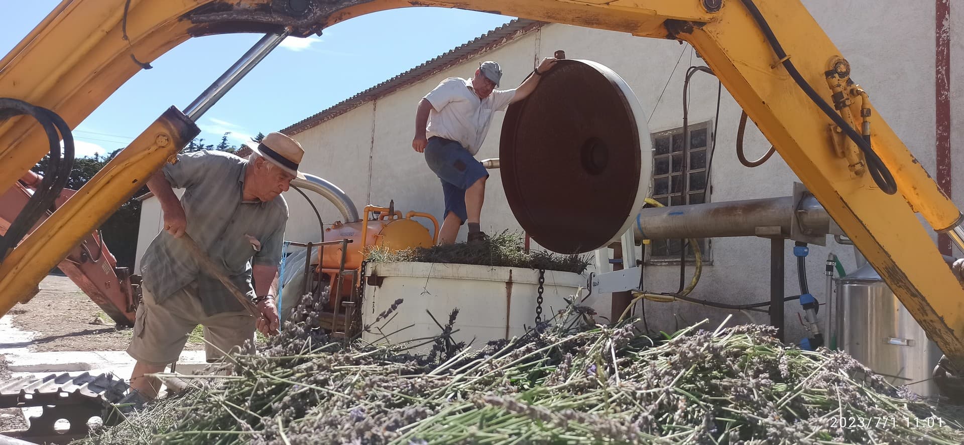 Producteur de lavandes Arom'Alpilles à Maussane-les-Alpilles Producteurs de lavande