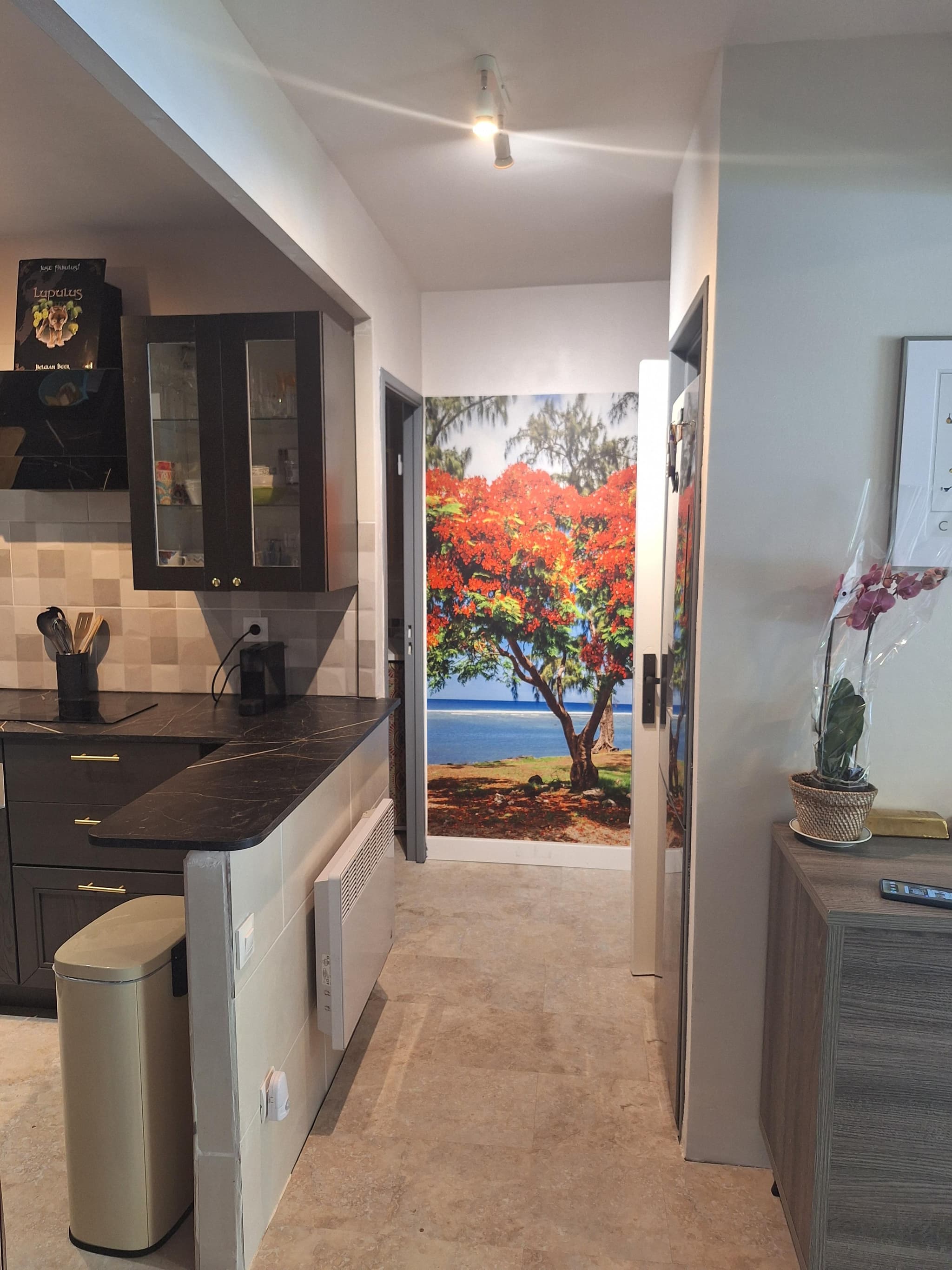 Appartement T2 en RDC sur la falaise