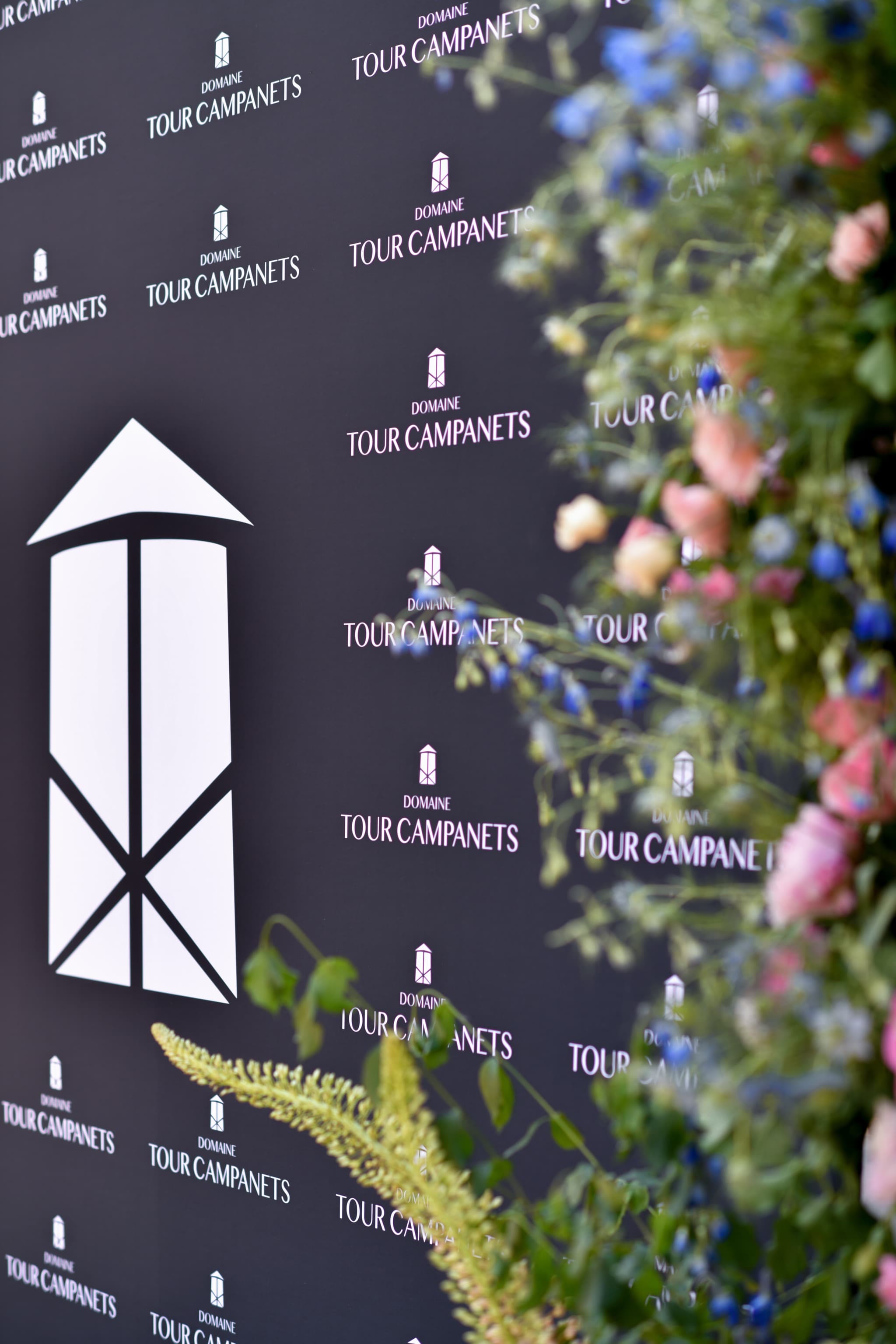 Domaine Tour Campanets