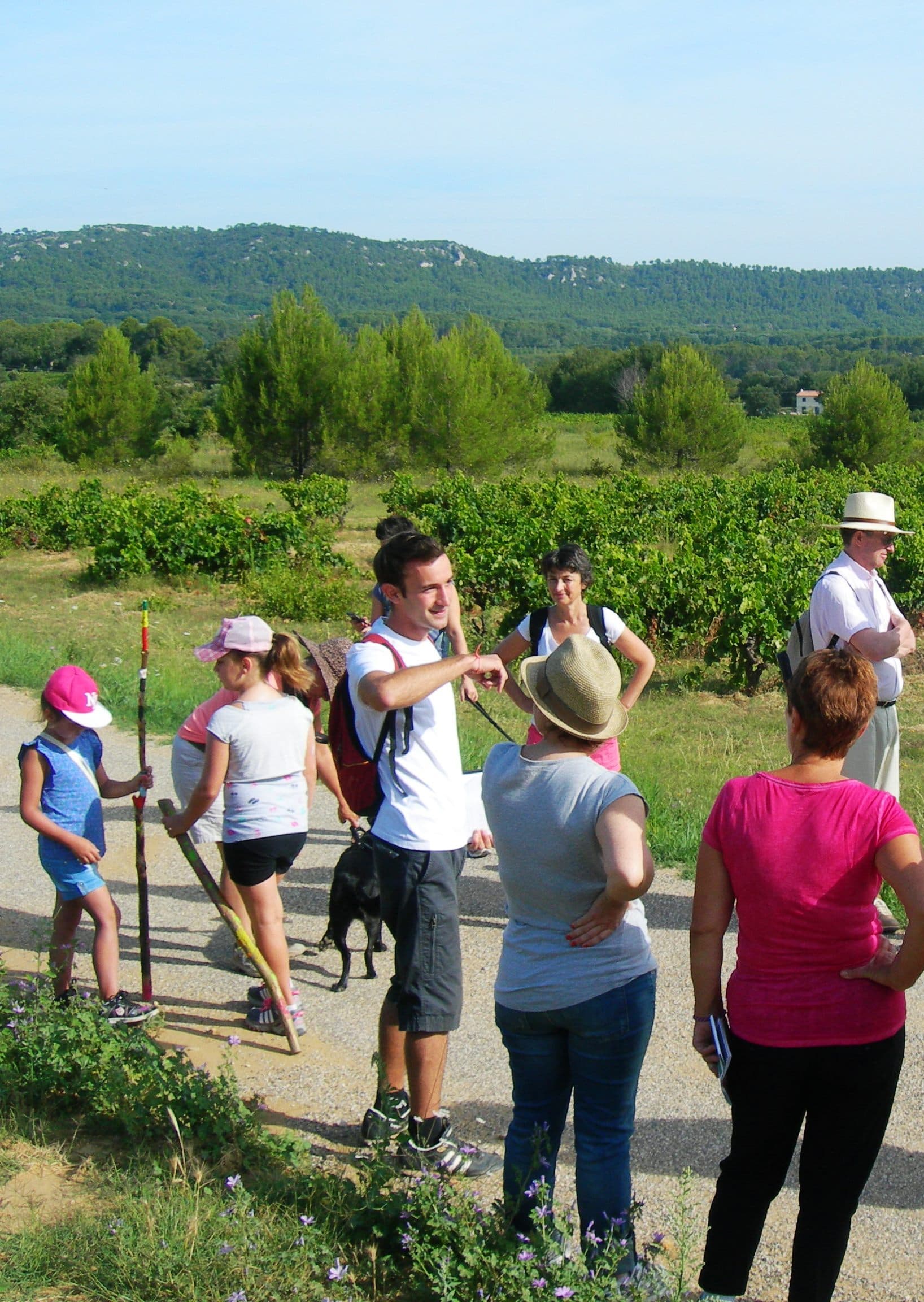 Randonnée sur le sentier des Vignerons