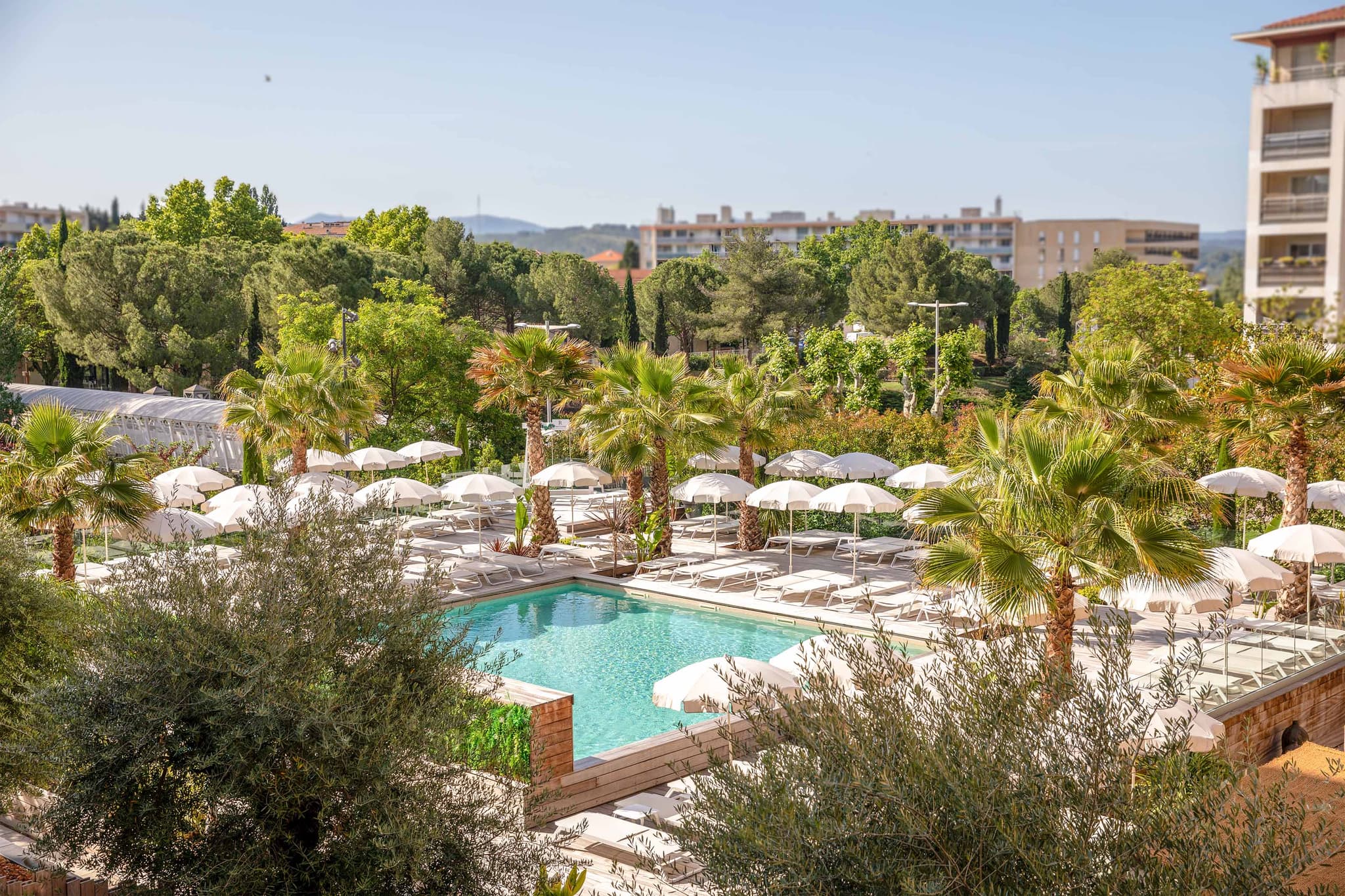 Palm's Pool Club