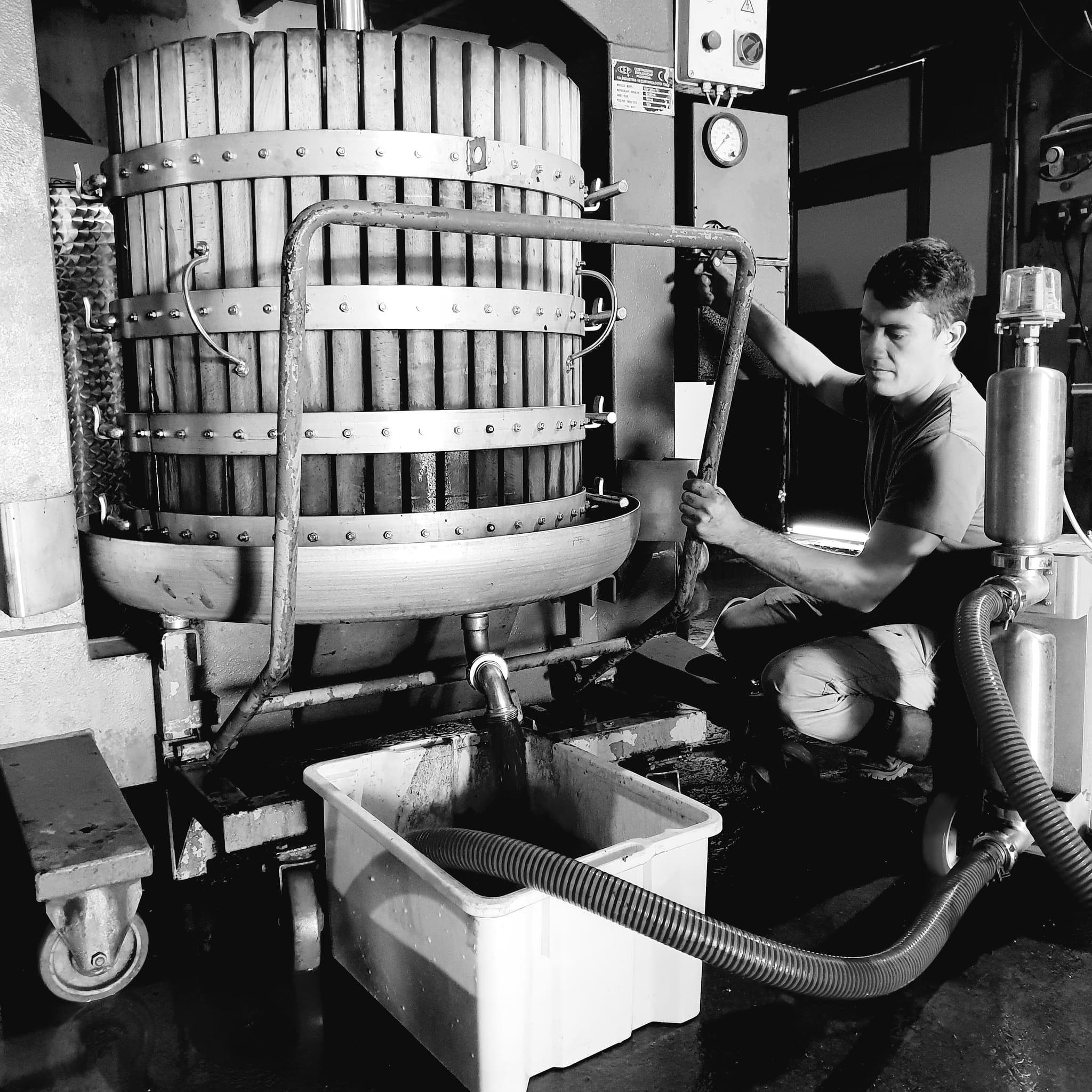 La Route des Vins en Terre de Provence_Maillane