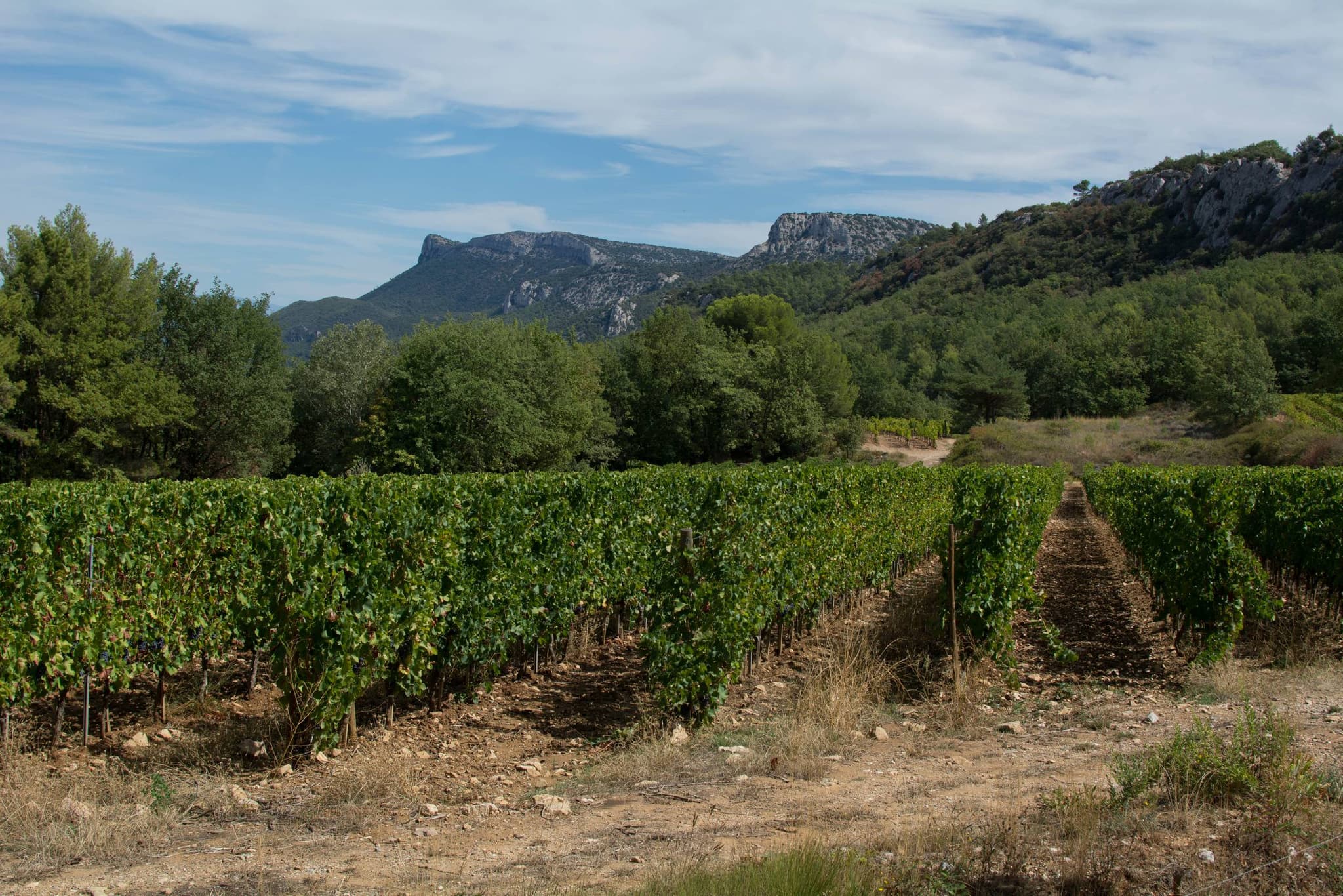 TRETS - L'Ermitage Saint-Jean-du-Puy