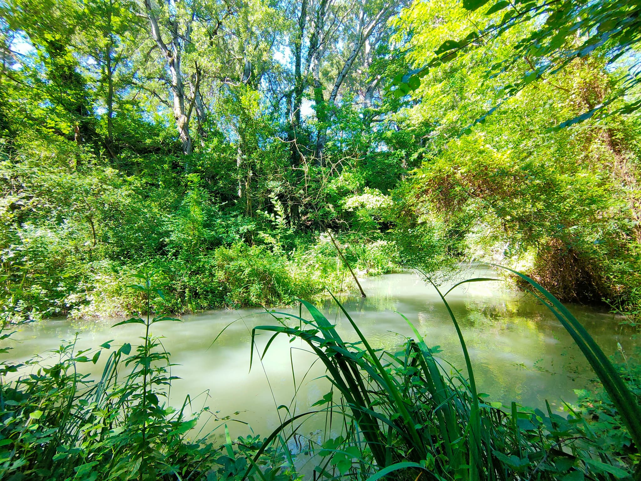 Chemin de la Dame en Vert