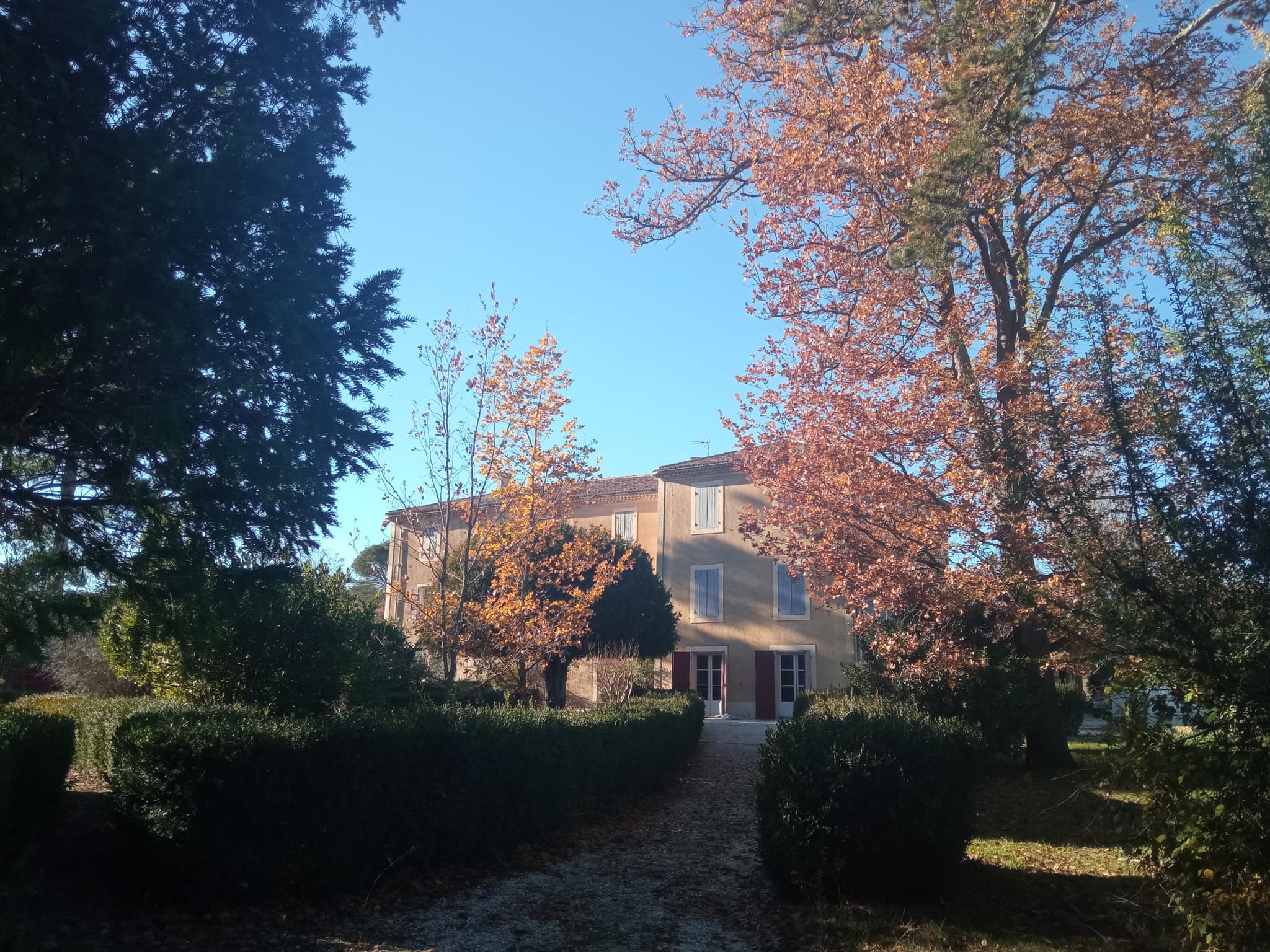 Domaine de Ribbe_Rognes