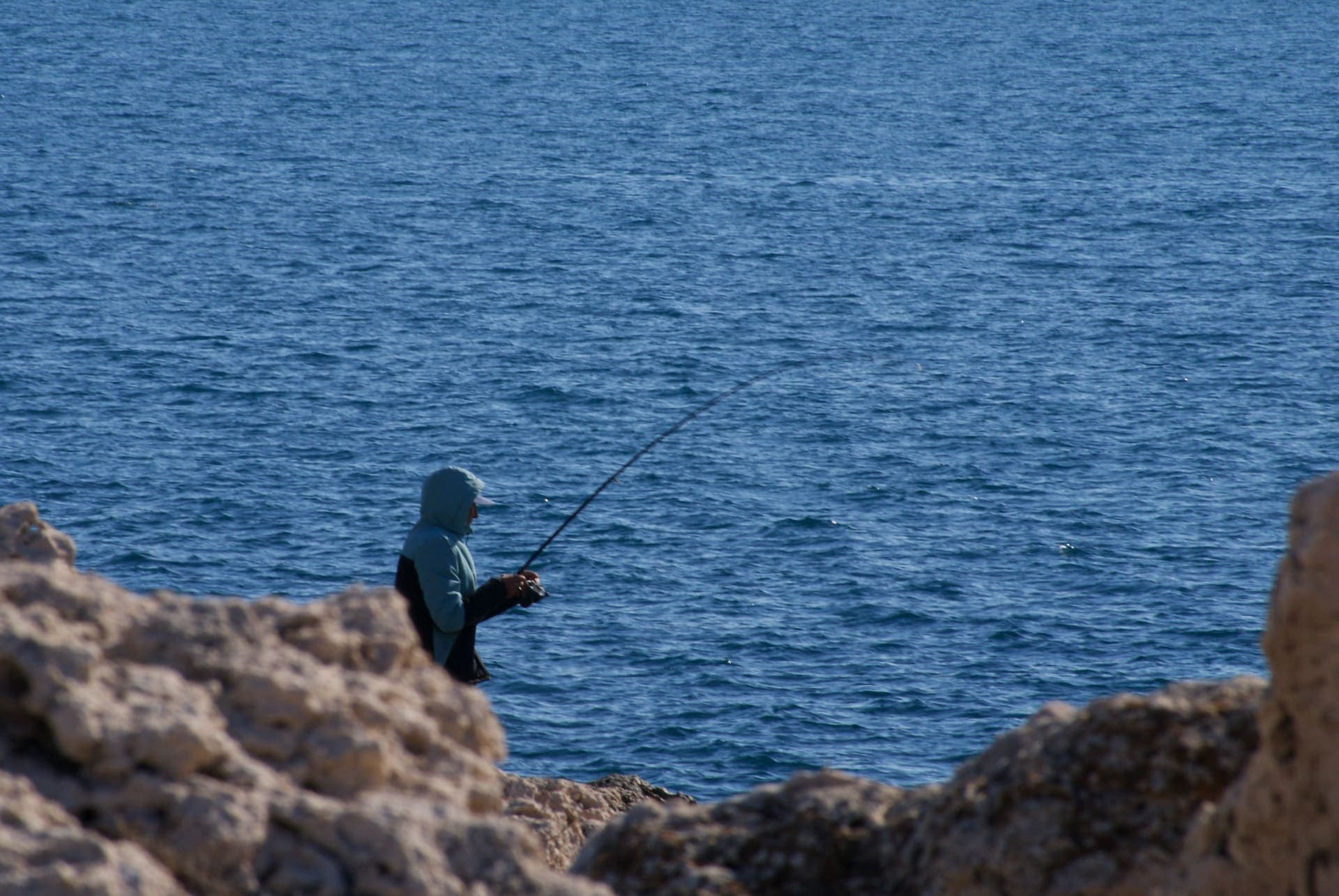 Atelier pêche durable : devenez les gardiens de nos océans_Martigues