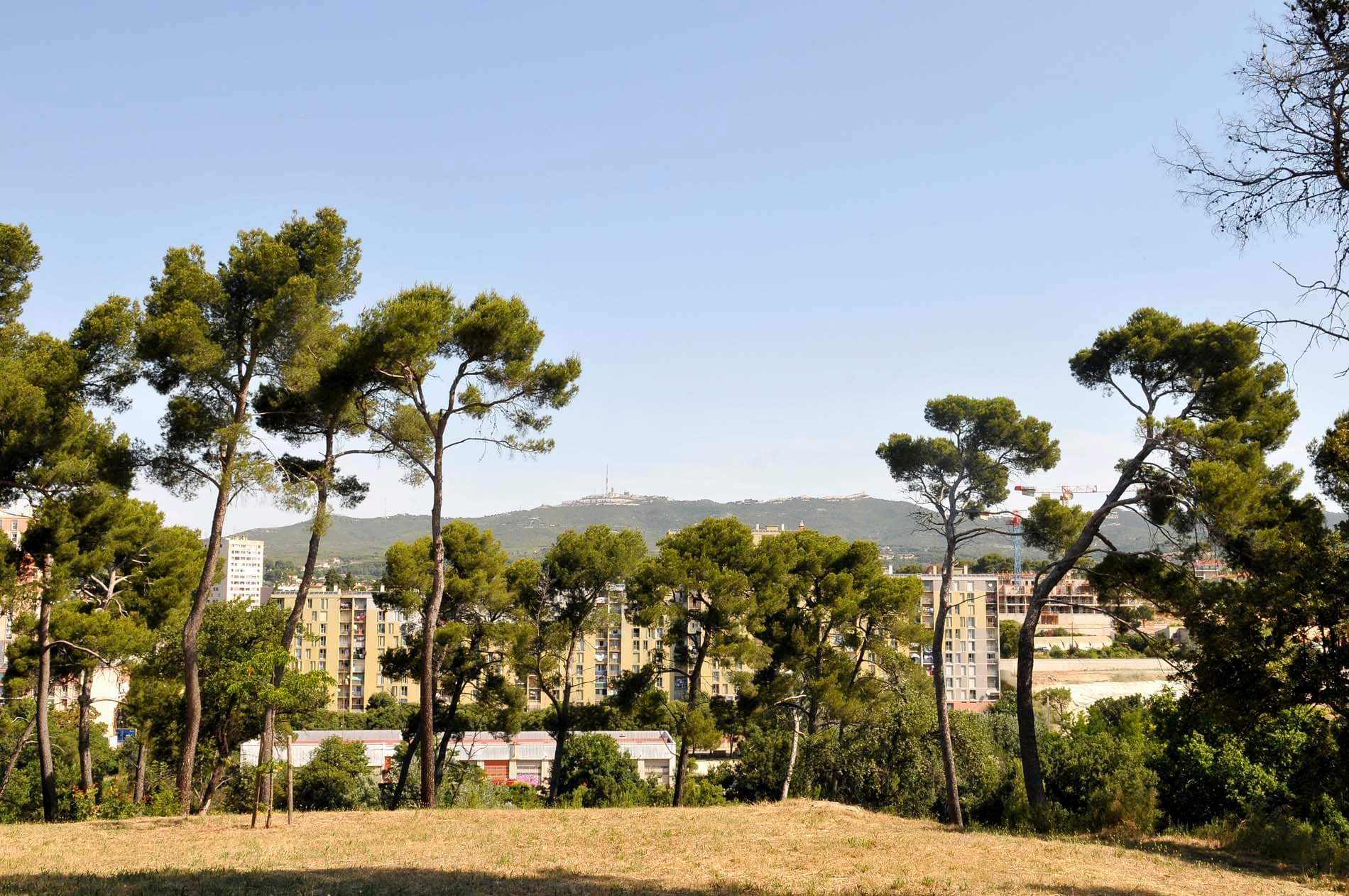 Parc Saint-Théodore - Ville de Marseille
