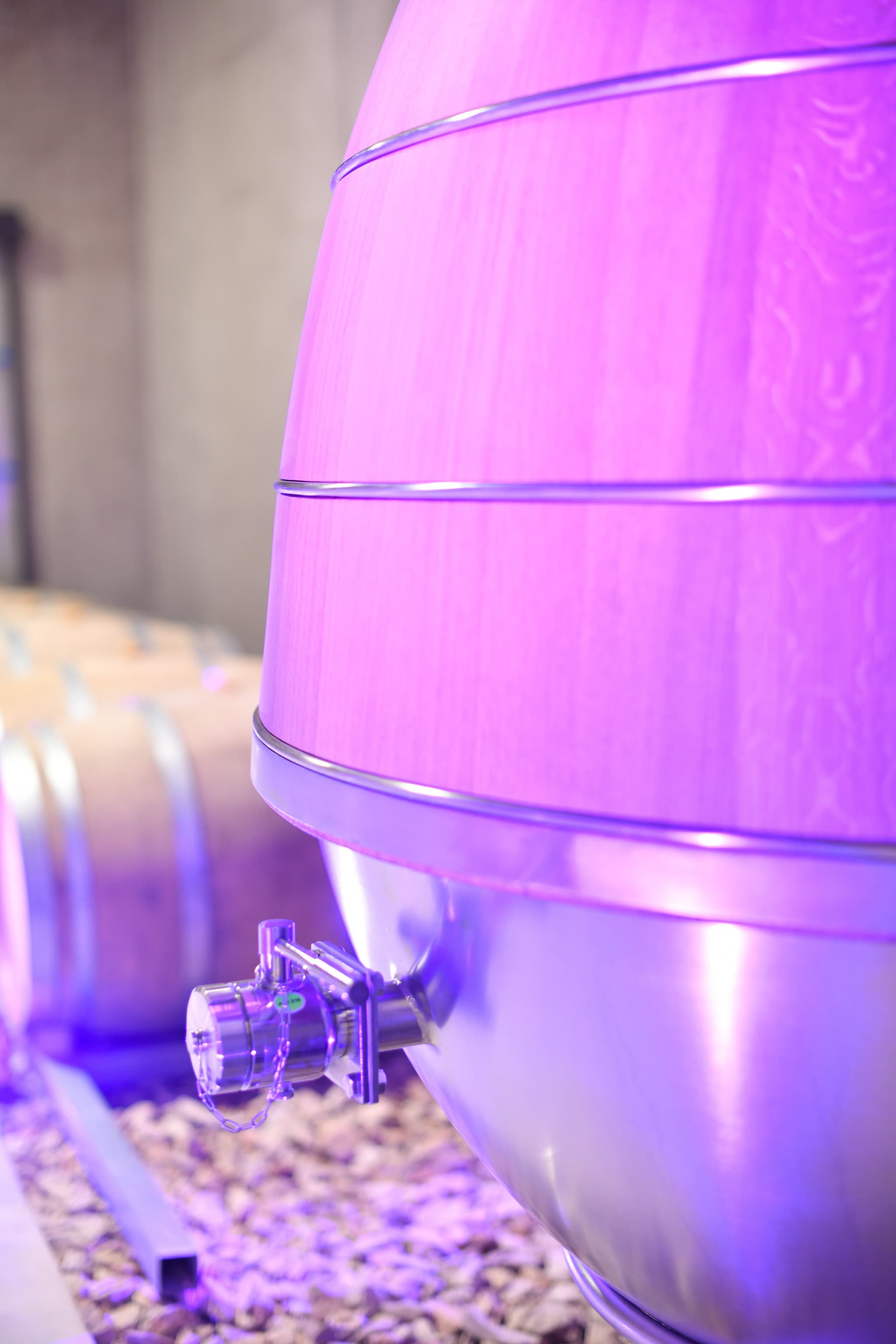 Domaine Tour Campanets